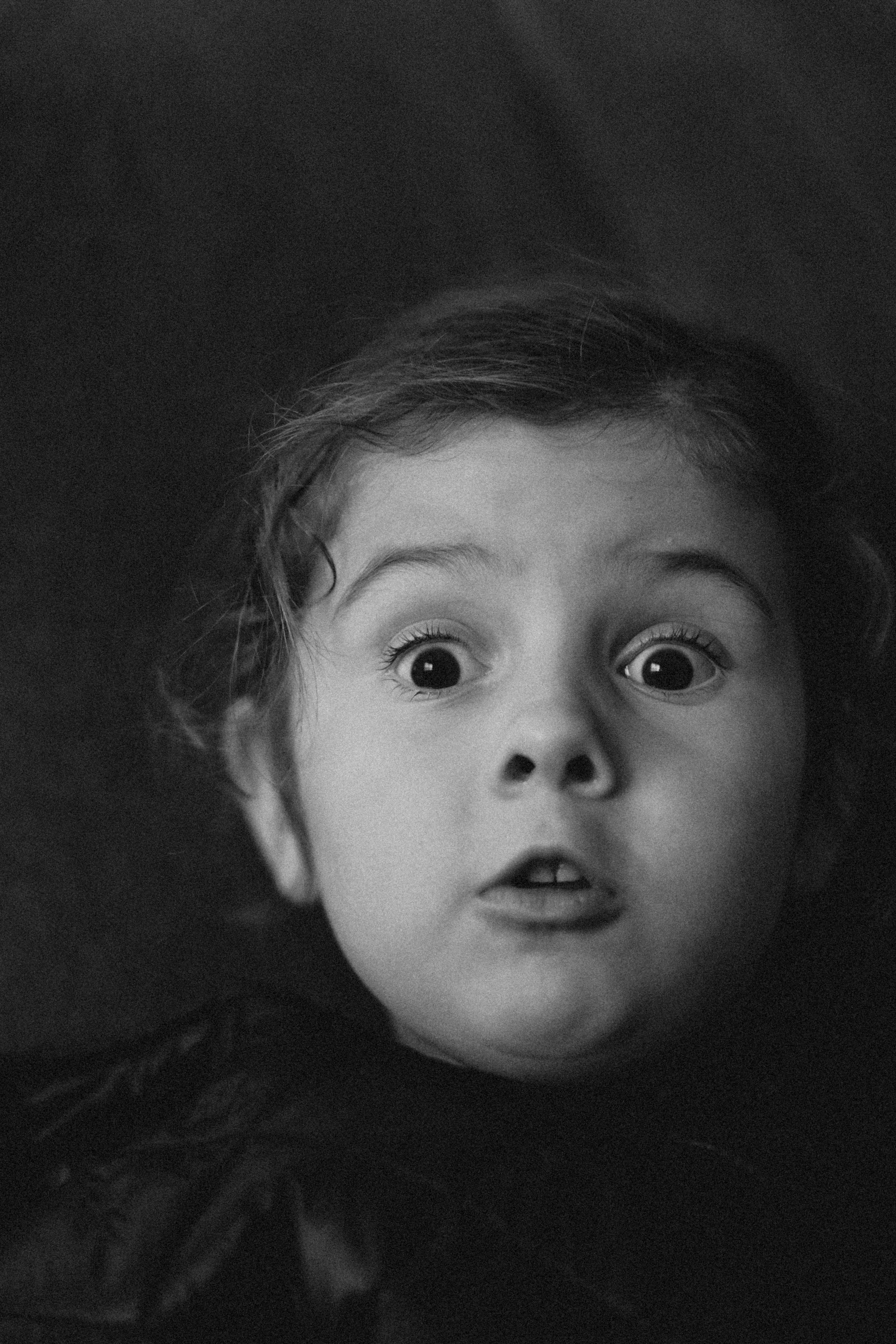 Портреты. Главная