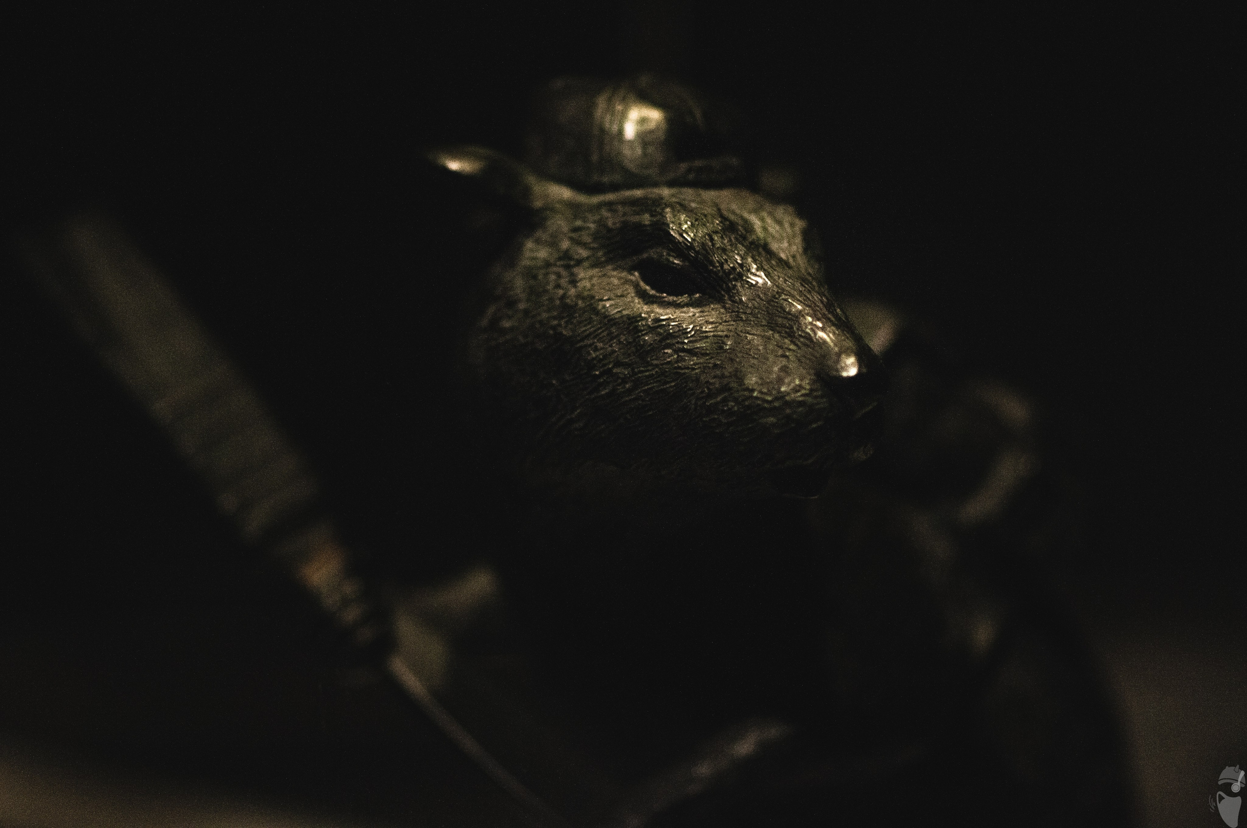 Banksy: Birth of an Icon // Tbilisi. VVoPoL