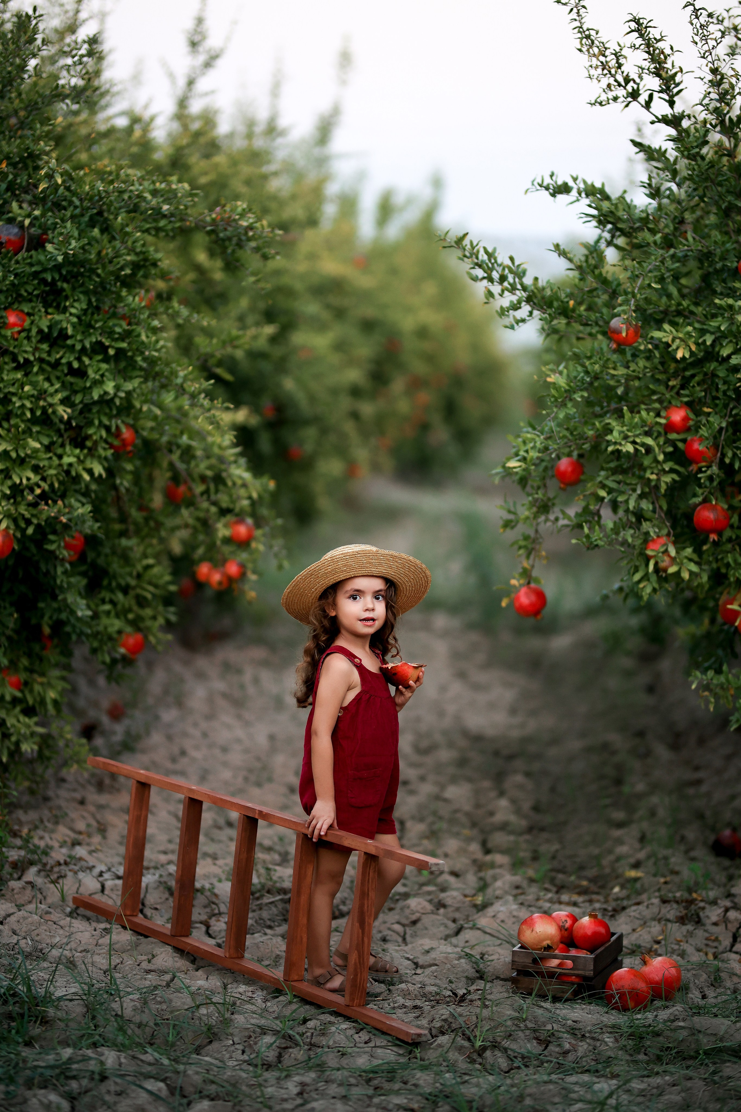 Photoshooting in pomegranate garden. Photographer in Turkey, Antalya, Kemer, Belek, Side, Kas, Fethiye
