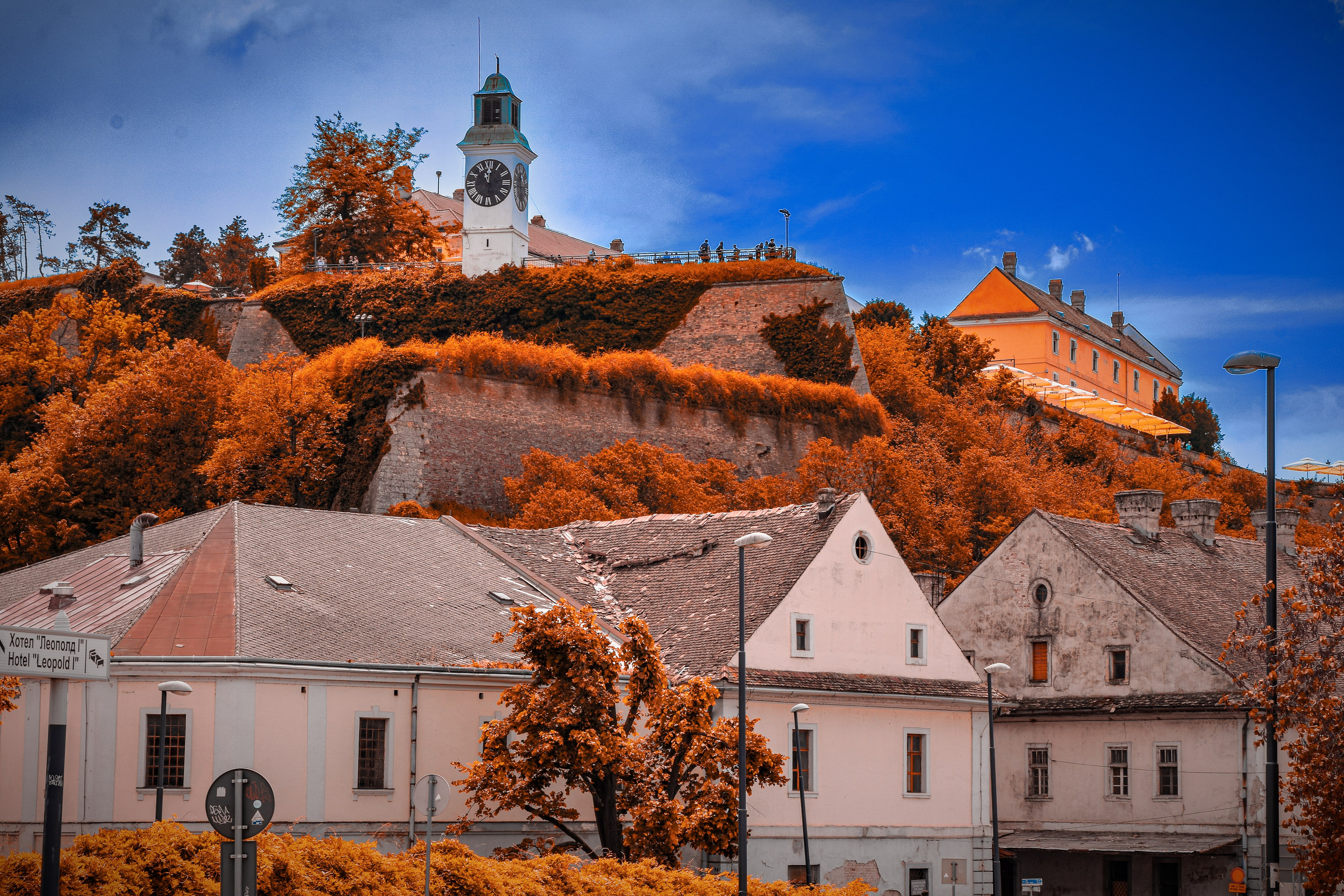 Петроварадин - галерија на продају. Викторија Федосеенко, фотограф у Србији