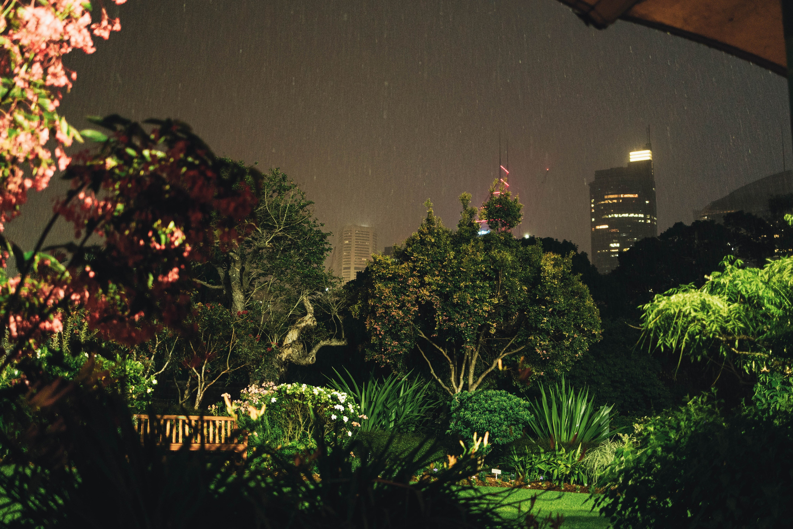 Sara + Jarrad. True Story Photography