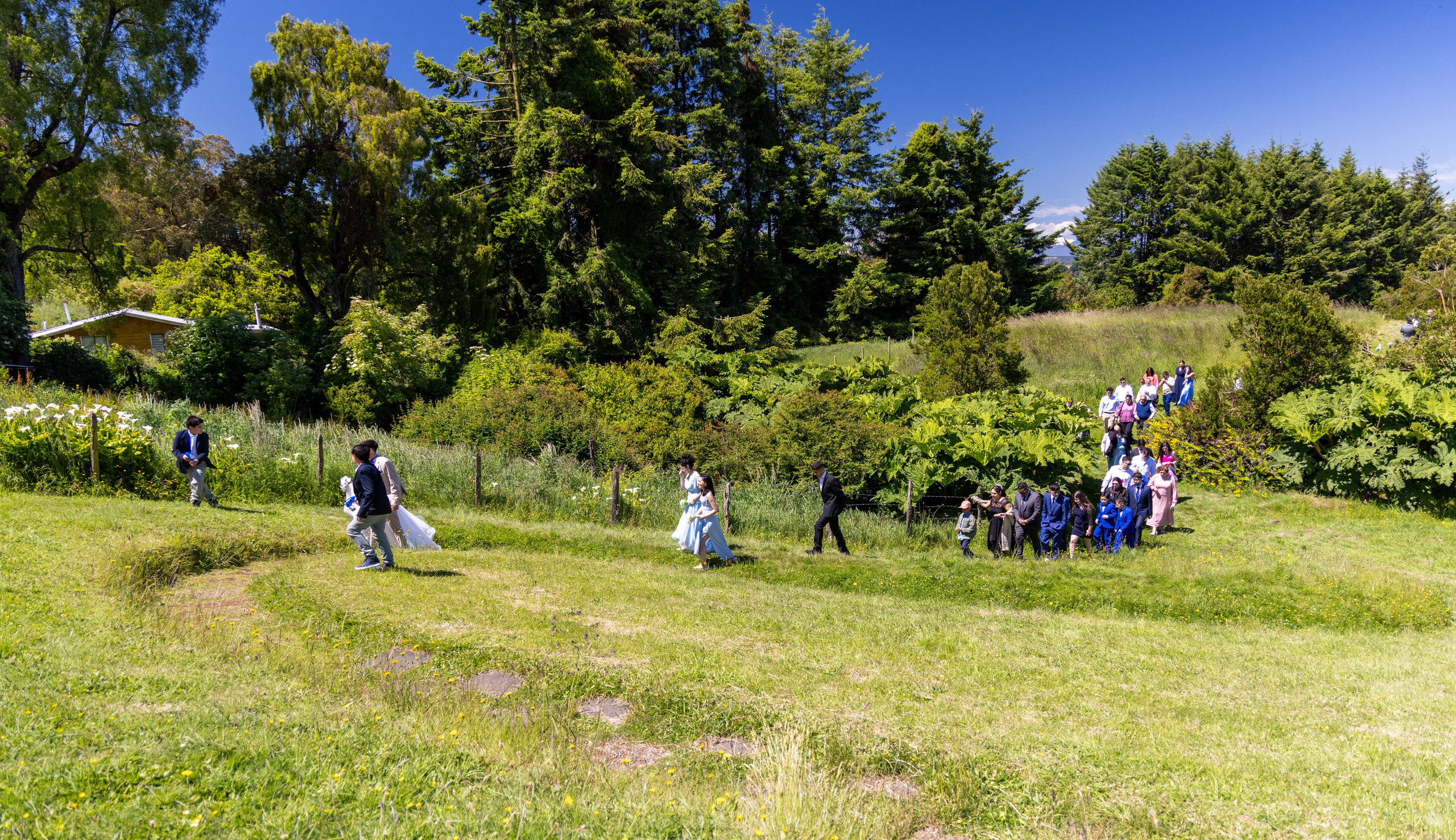 Carol & Ivo. Dinka & Emilio - El arte de preservar lo que no se repite