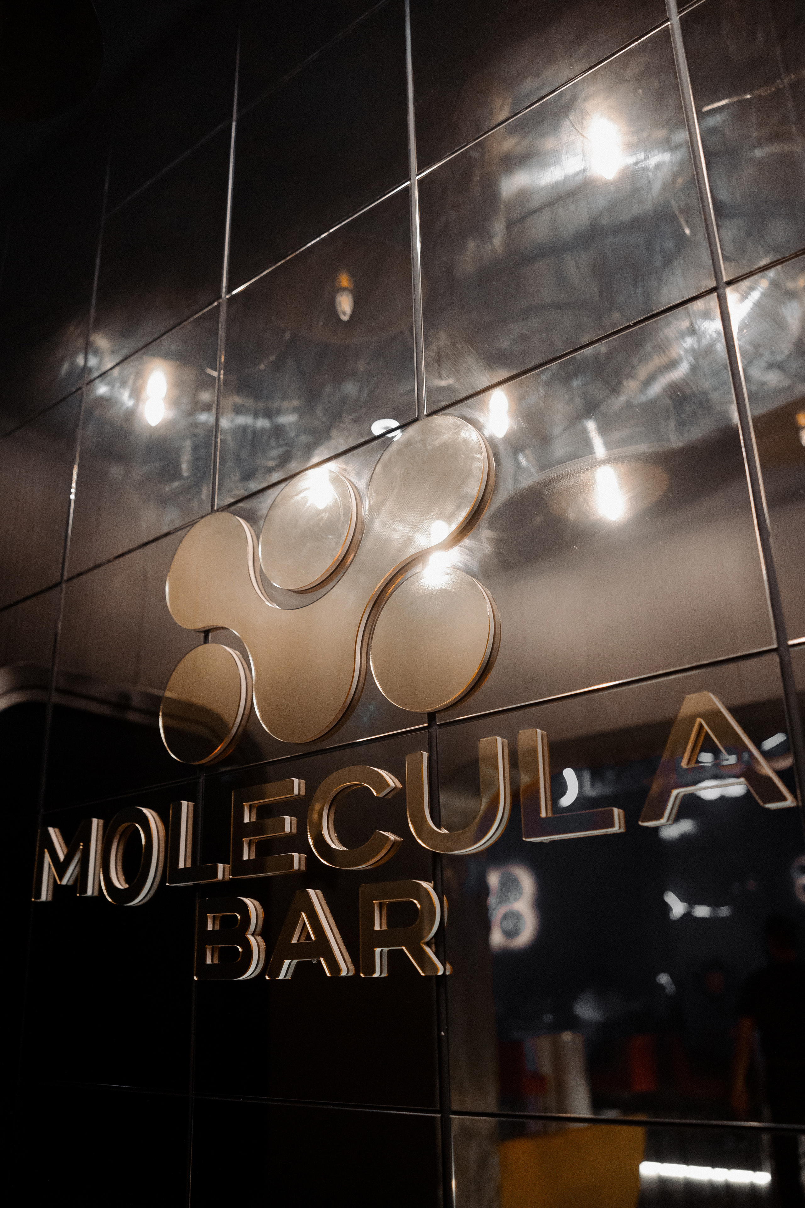 Миша Марвин | Концерт. Азимжан Нуритдинходжаев — свадебный фотограф