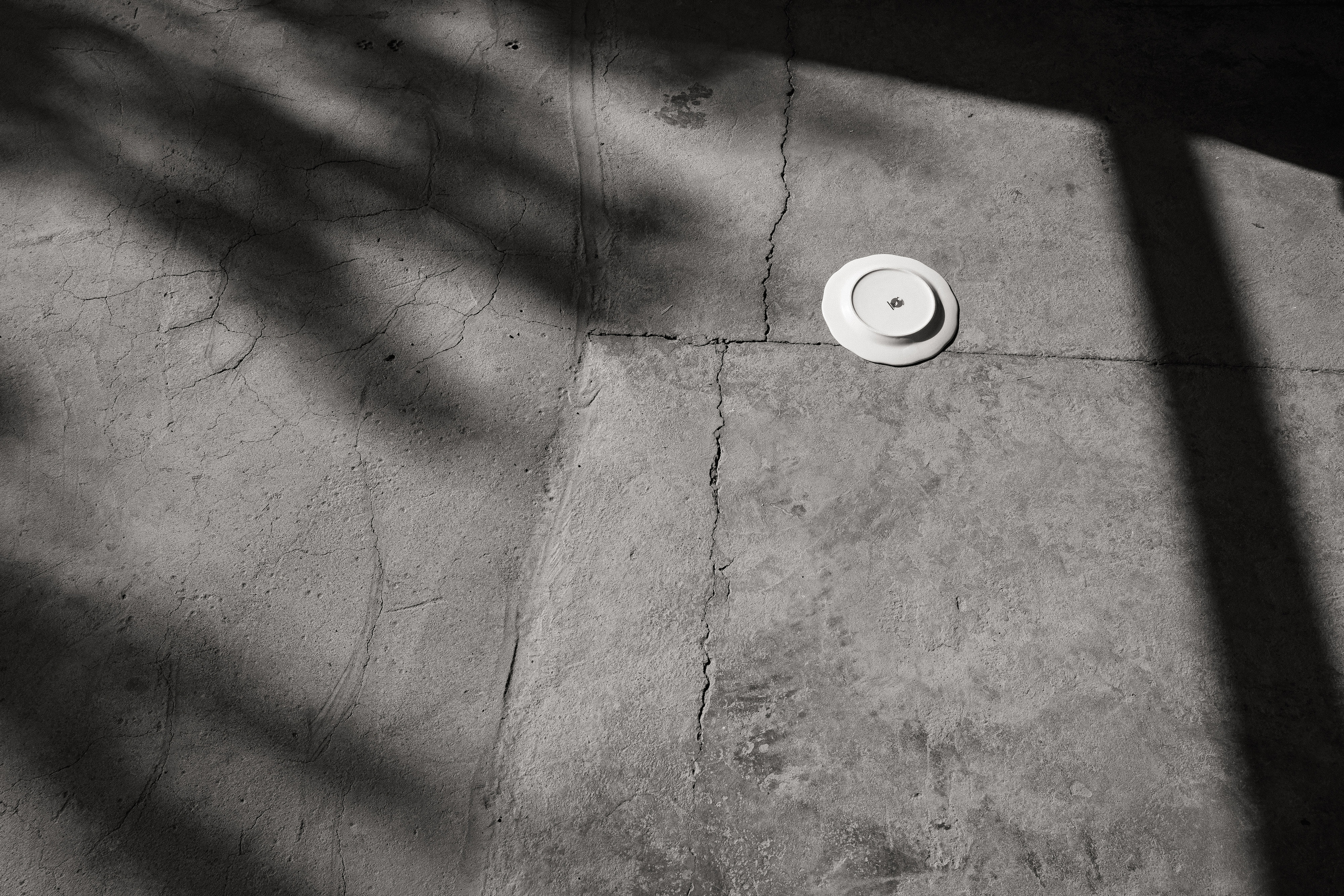 Мамед и Мадина. Азимжан Нуритдинходжаев — свадебный фотограф