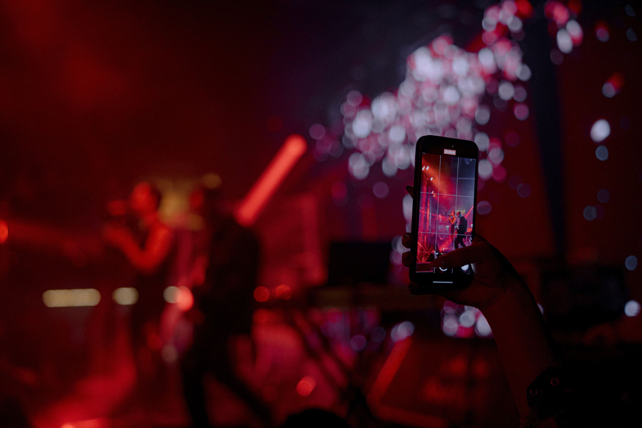 Миша Марвин | Концерт. Азимжан Нуритдинходжаев — свадебный фотограф