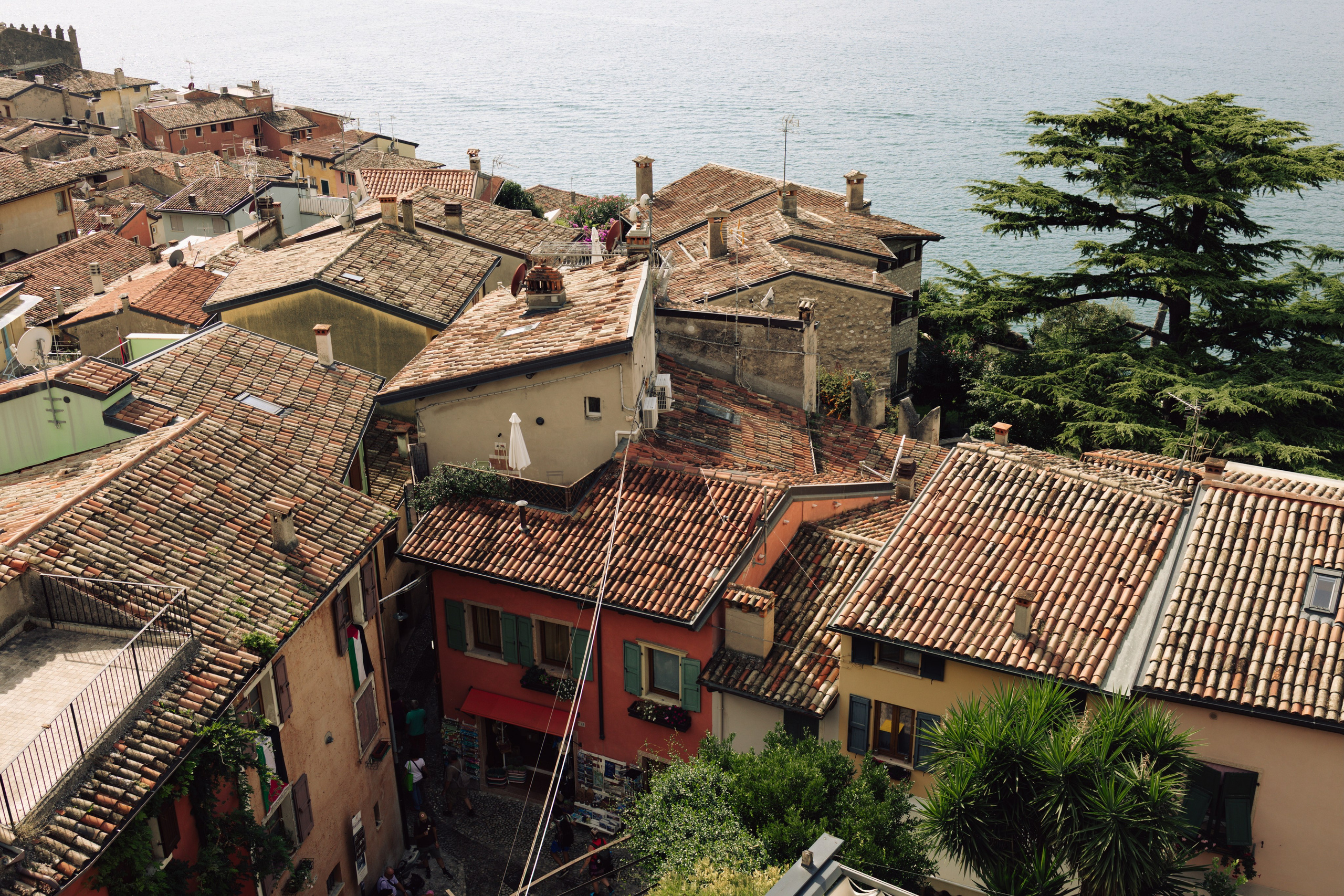 Wedding at Lake Garda in Limone sul Garda and Malcesine, Italy — Sofia and Egor. Liza Bizzaro — Italy Wedding, Love Story & Portrait Photographer in Milan, Turin, Piedmont and Across Italy