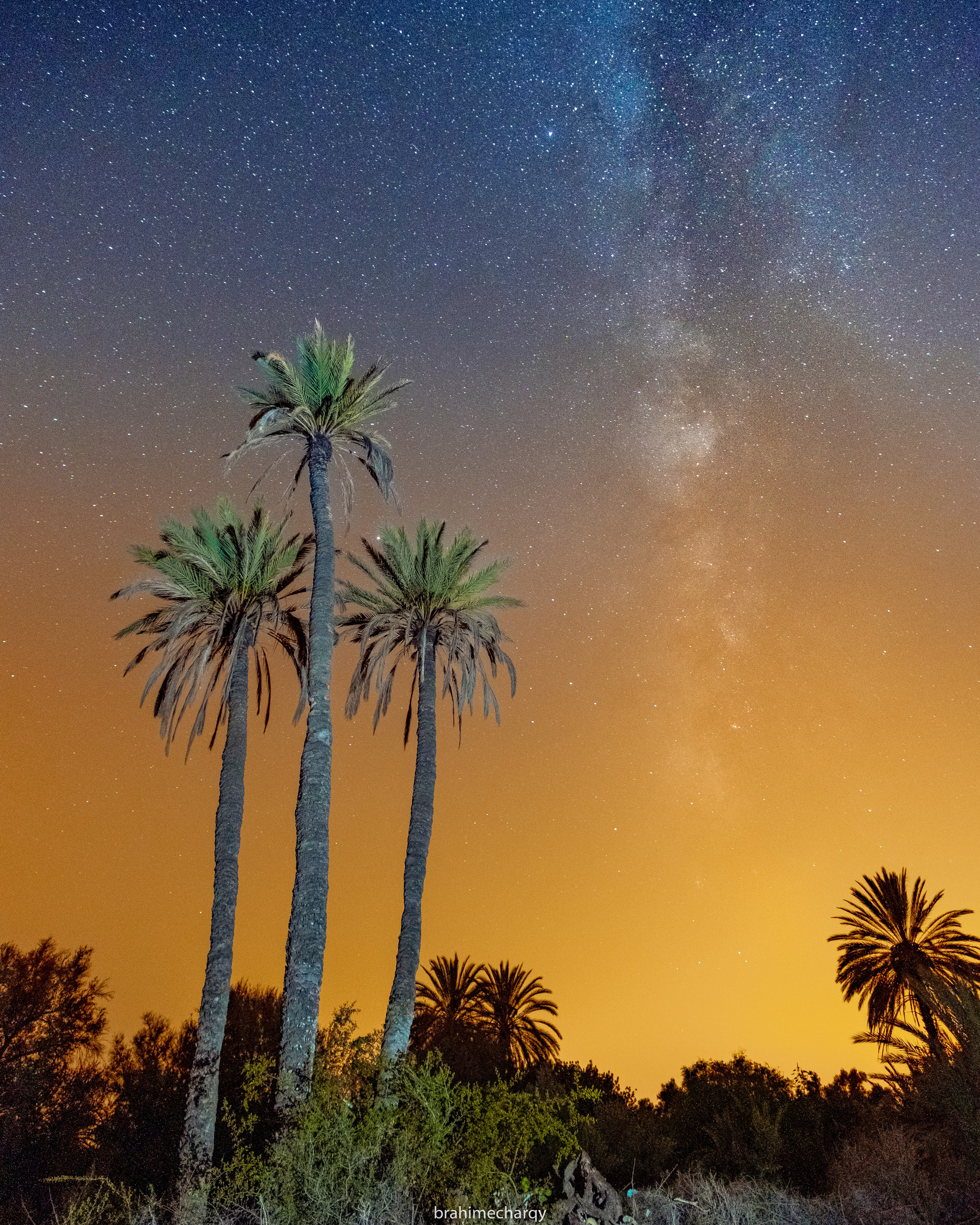 Фото. Брахим — фотограф