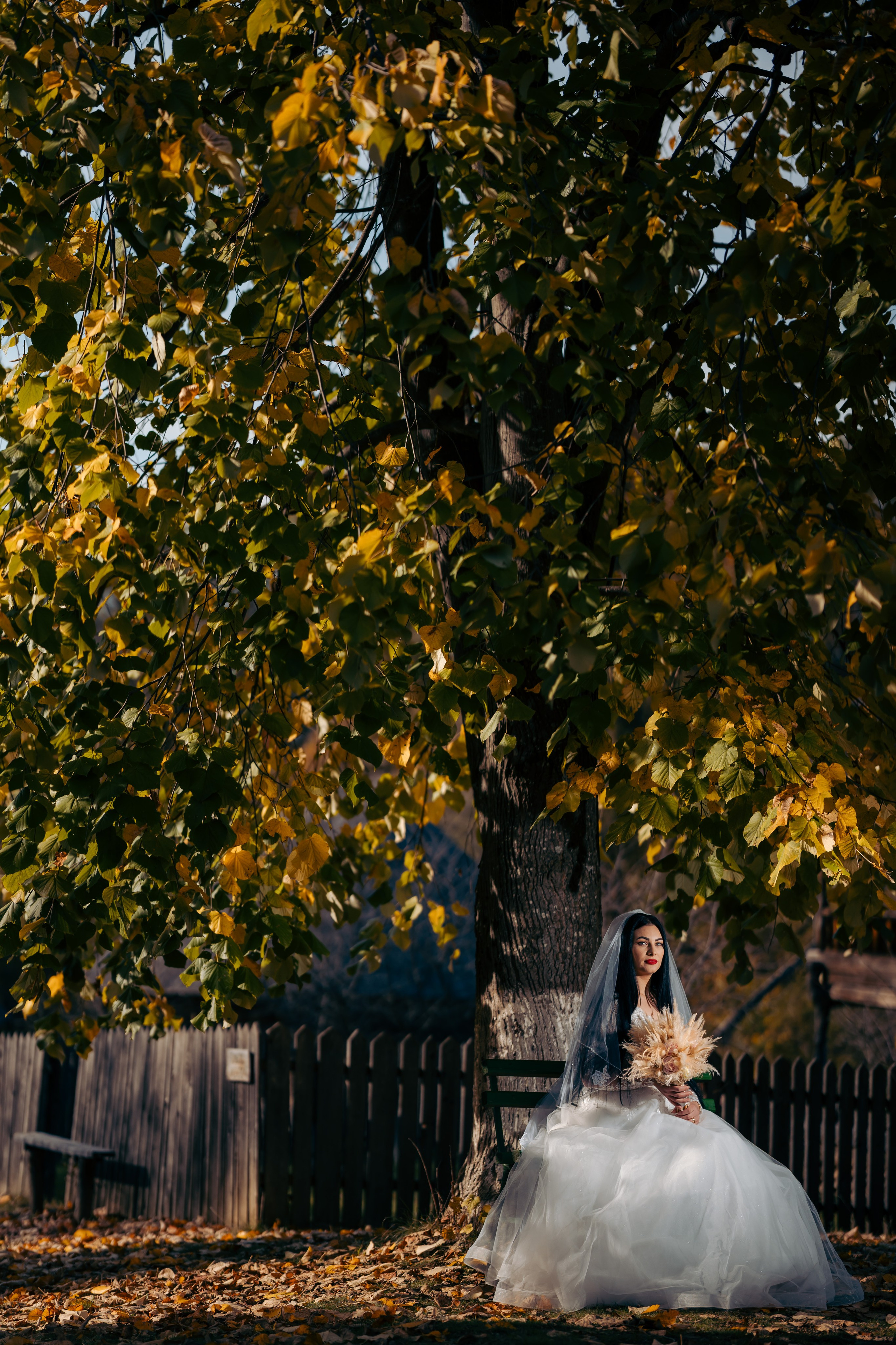 Andreea & Madalin. CC Photography \ Fotograf Profesionist \ Evenimente