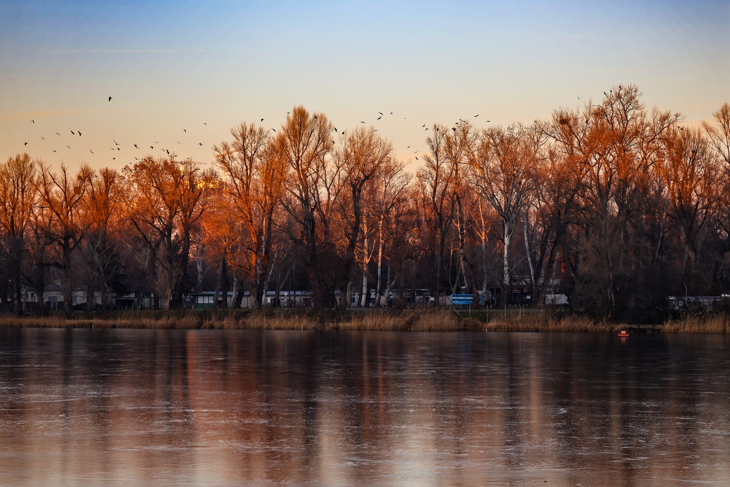 Frozen Danube