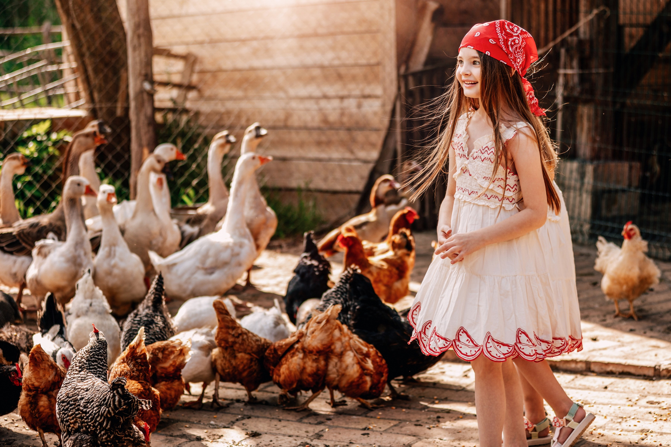 DEČIJA FOTOGRAFISANJA. Fotografi iz Backog Petrovca David i Andrea Stojanovic