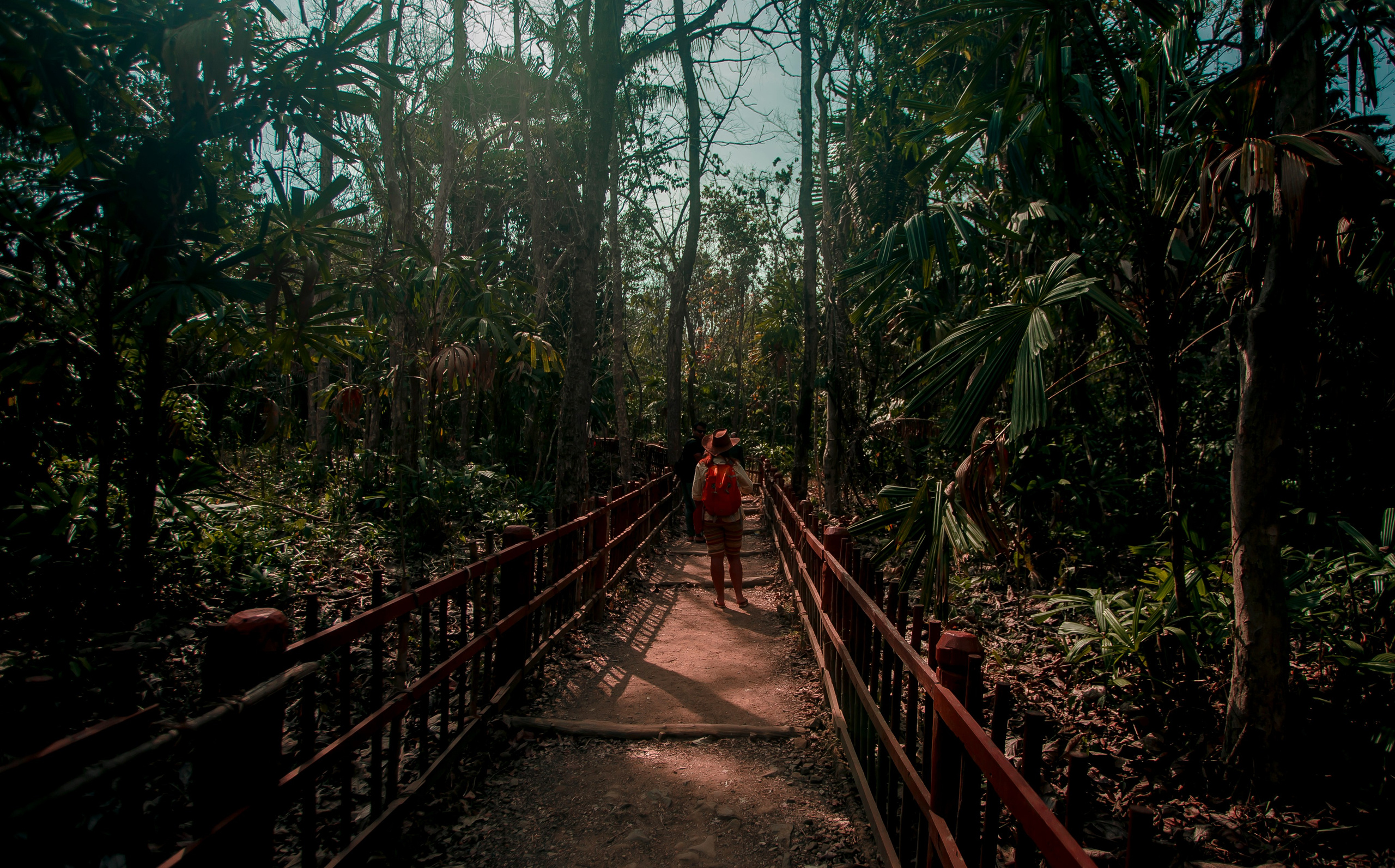 Andaman Islands, Part2. Art Photographer