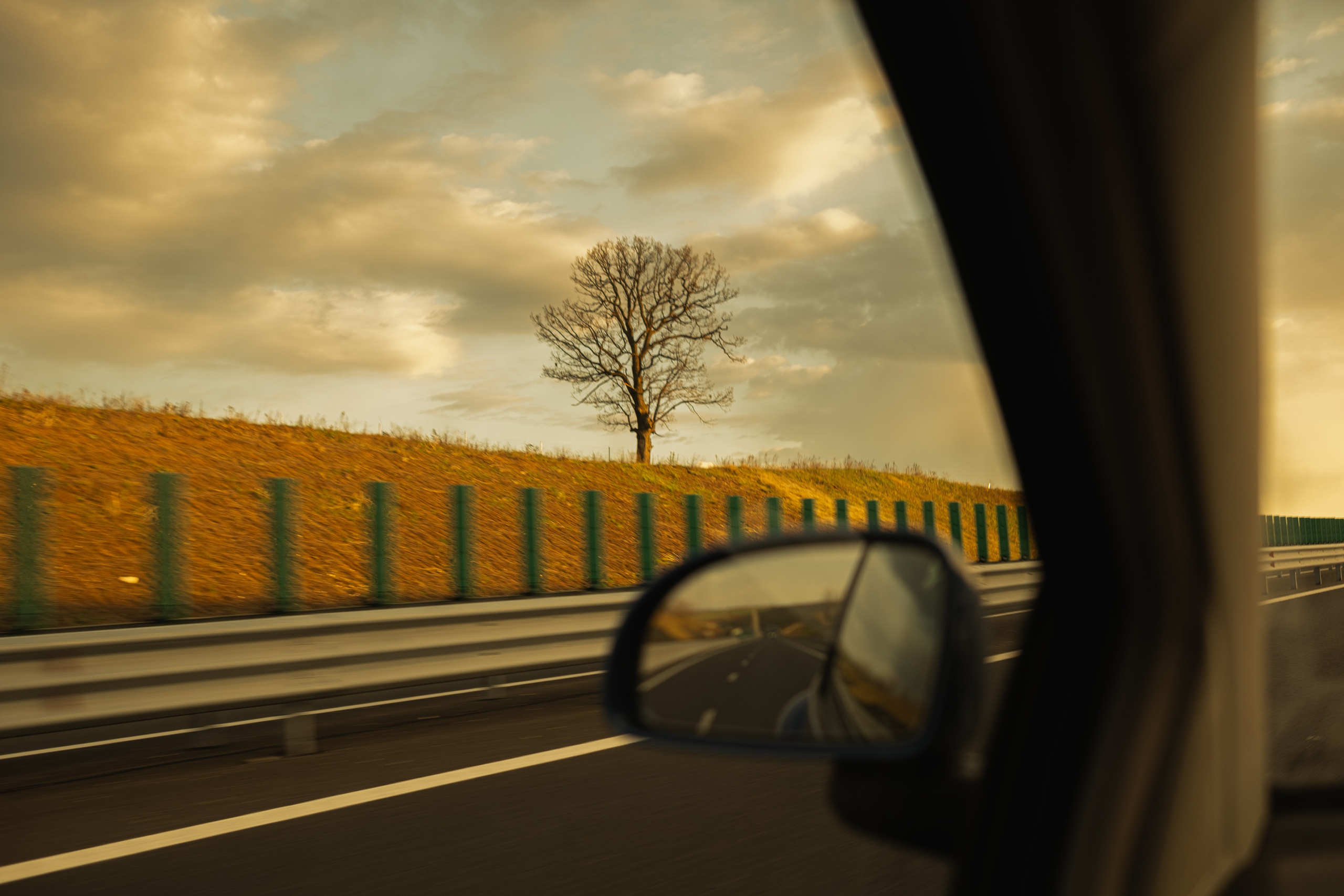 Modern nature. Geany Cazan