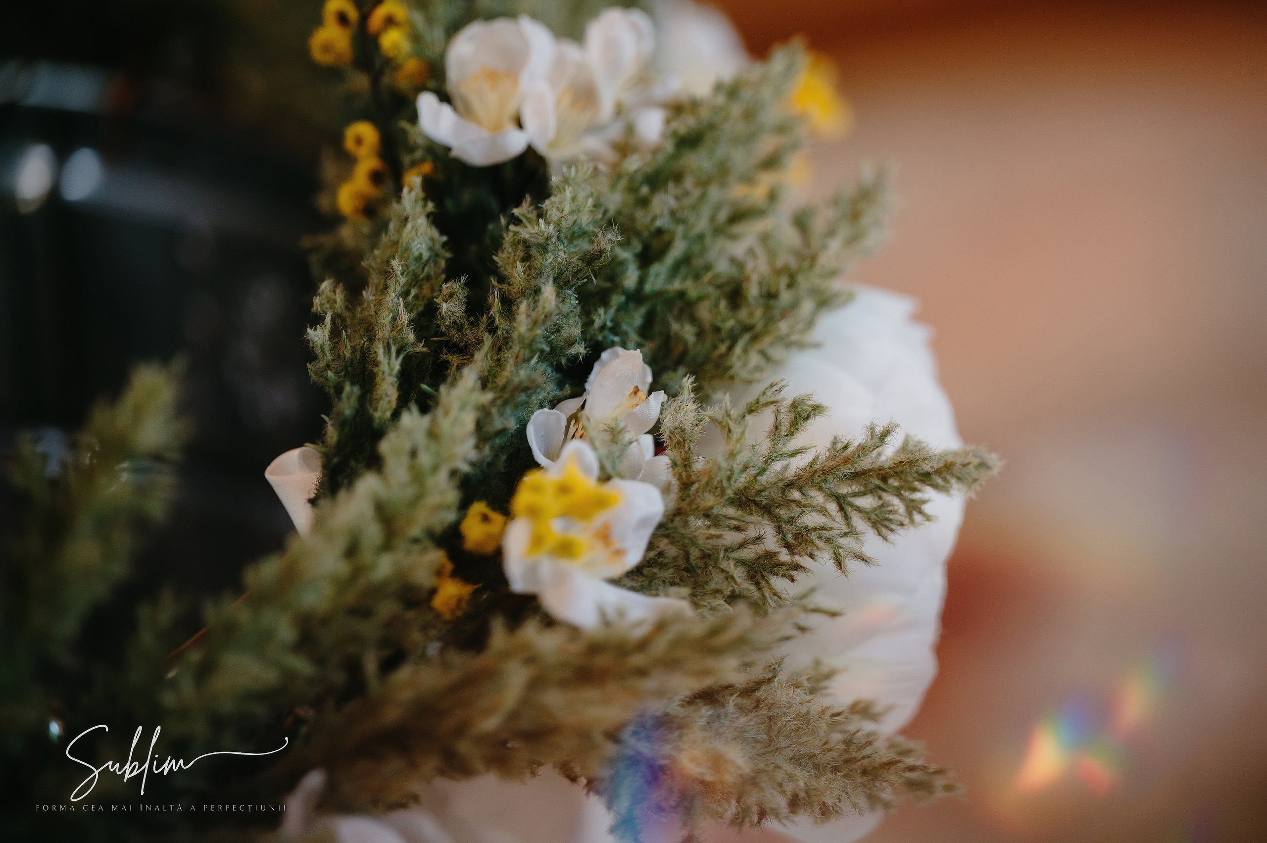 Sublim. Laurentiu Stefan StoryTeller