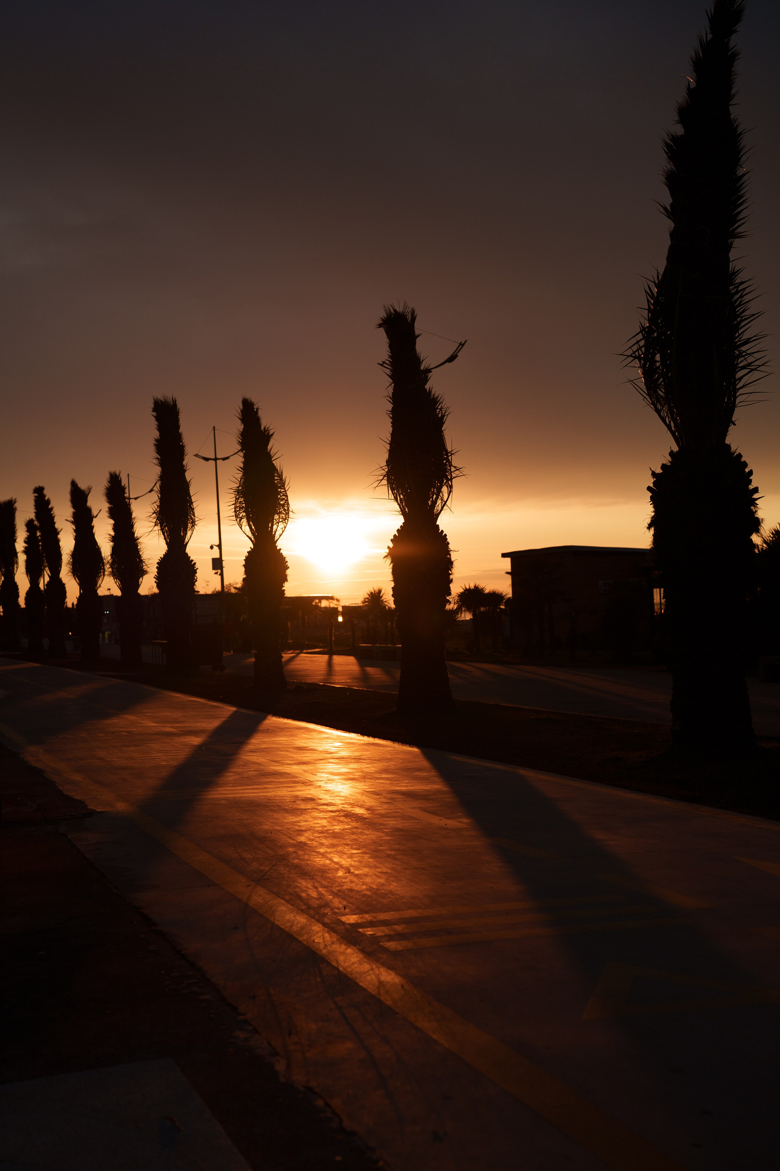 Batumi evening. Ekaterina Verbitskaya. Photography