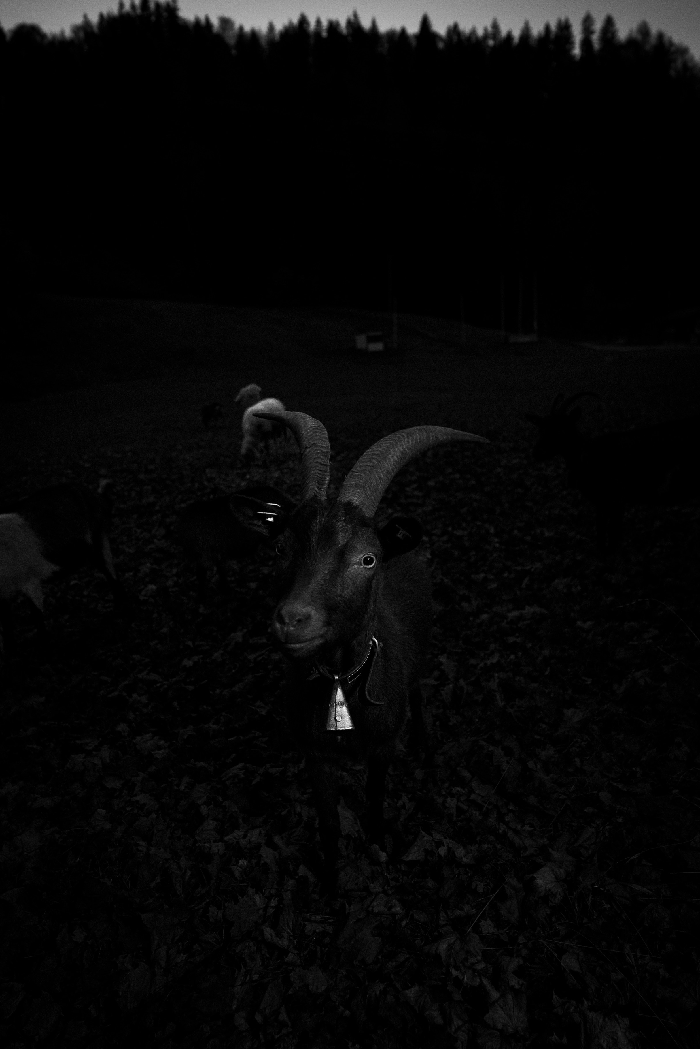 ЕВРОТУР. Стрит-фотография, полная абсурда, идиотизма и красоты