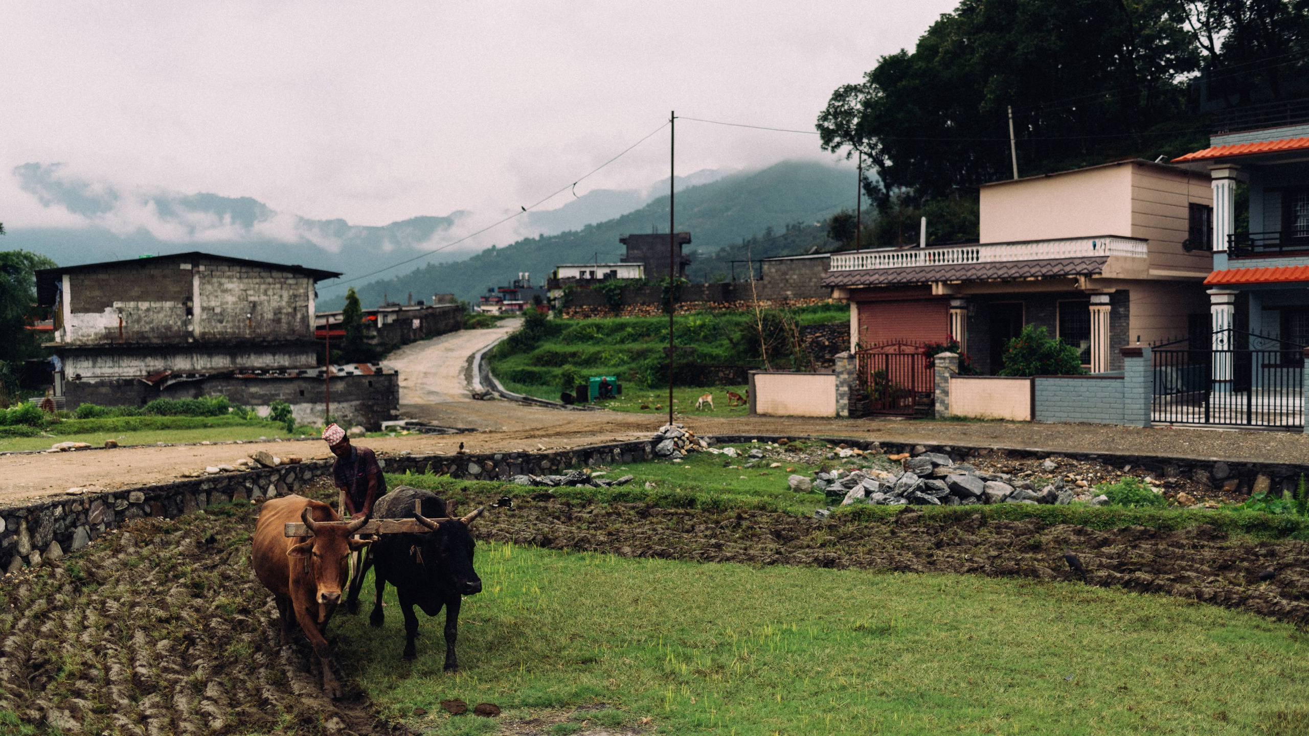 Nepal. Artjom Kutuzov Photography