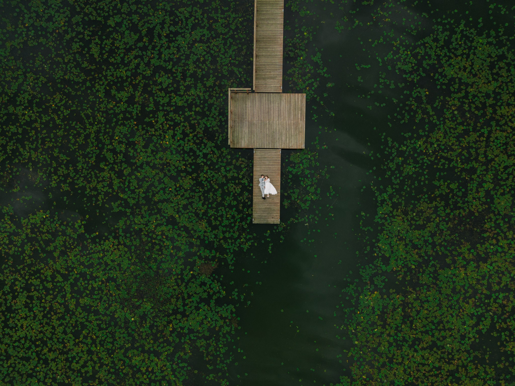 Gabrielė ir Tomas I Vilkaviškis