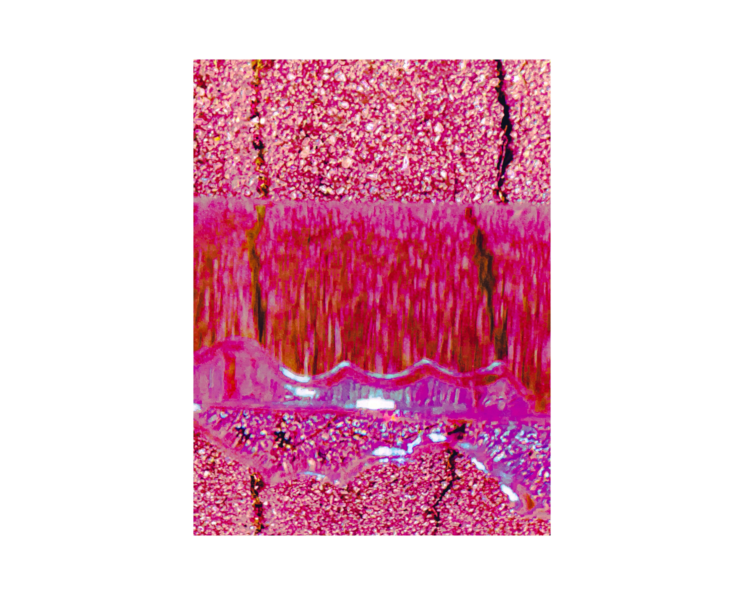 Abstract from Exaggerated Worlds. Ekaterina Tsurkina-Appina Photography Canada