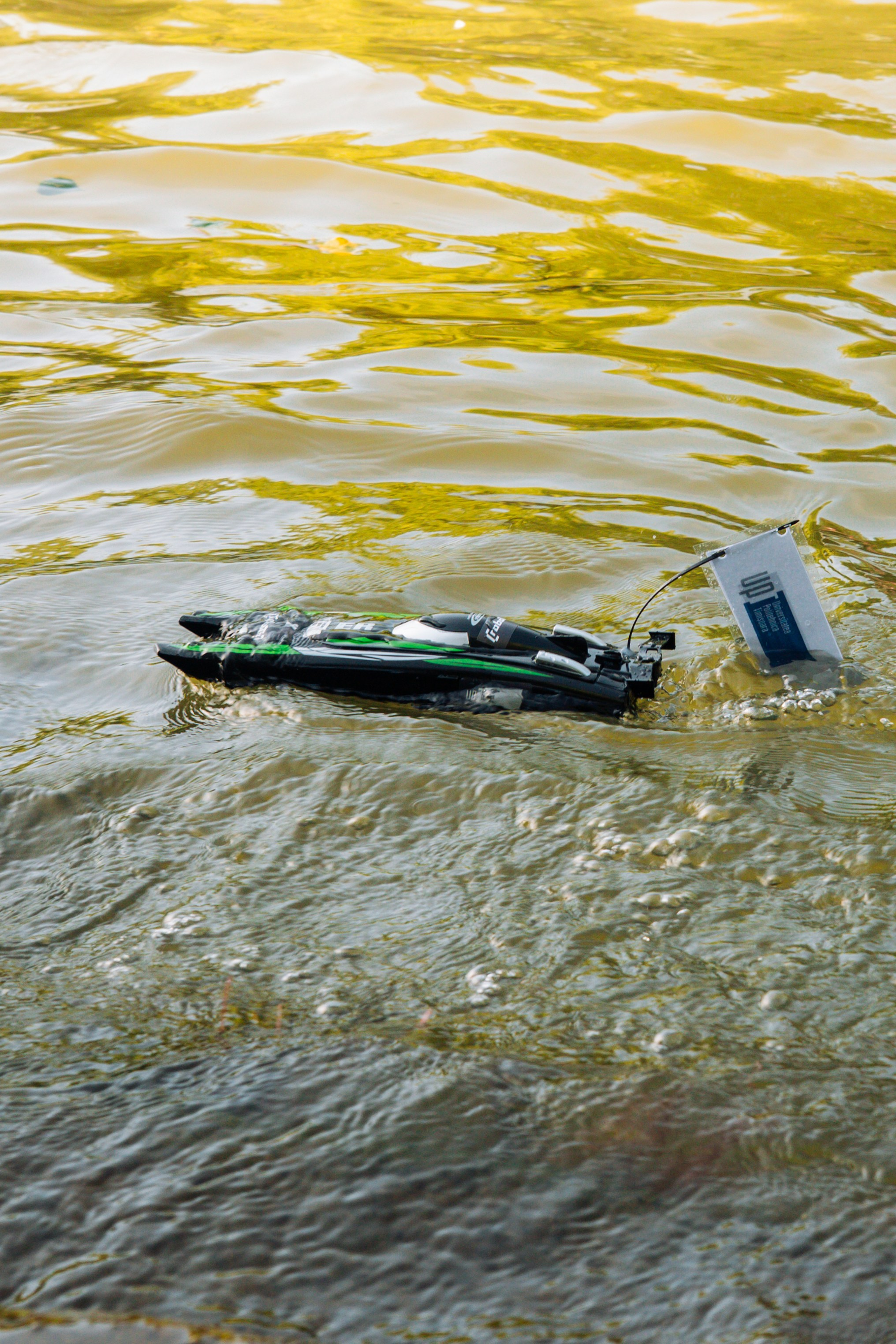 06.04 Bega Boat Race. Cozac Cristian Photographer