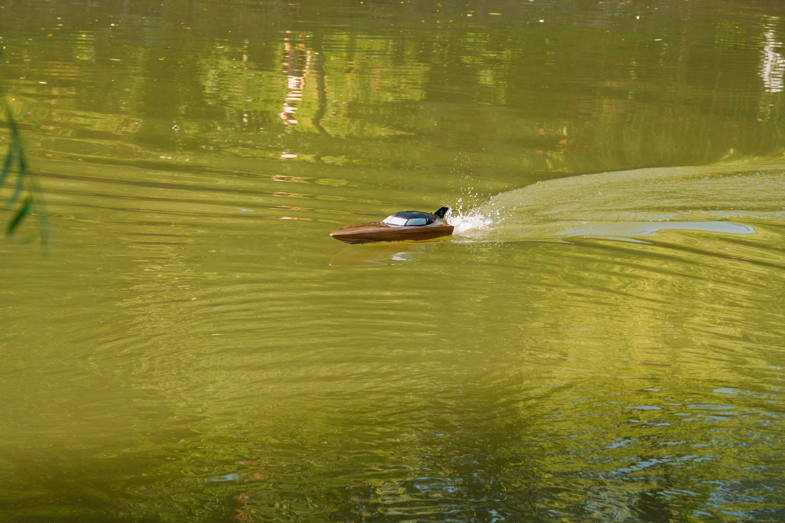 06.04 Bega Boat Race. Cozac Cristian Photographer