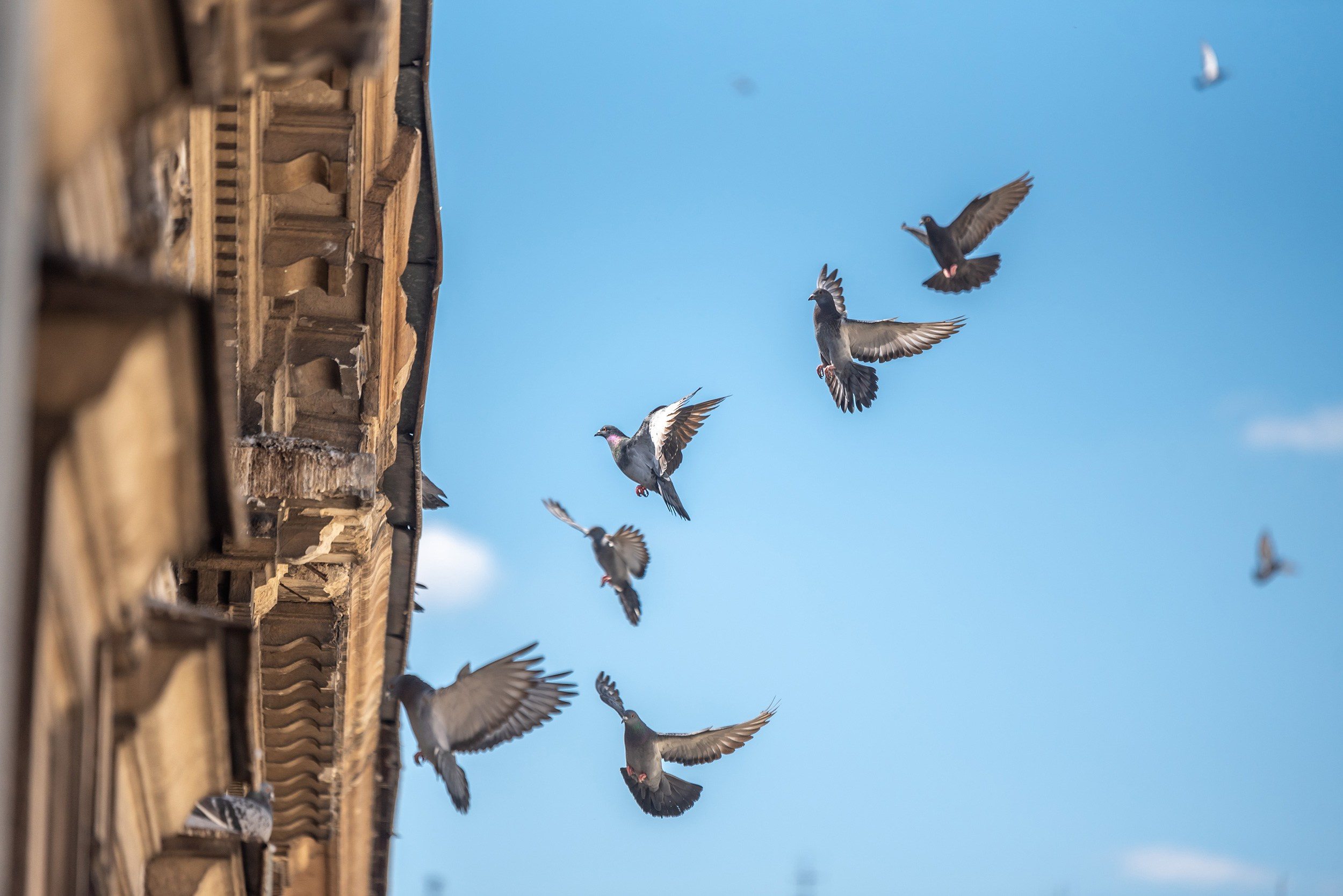 Lublin. Photographer in Yerevan