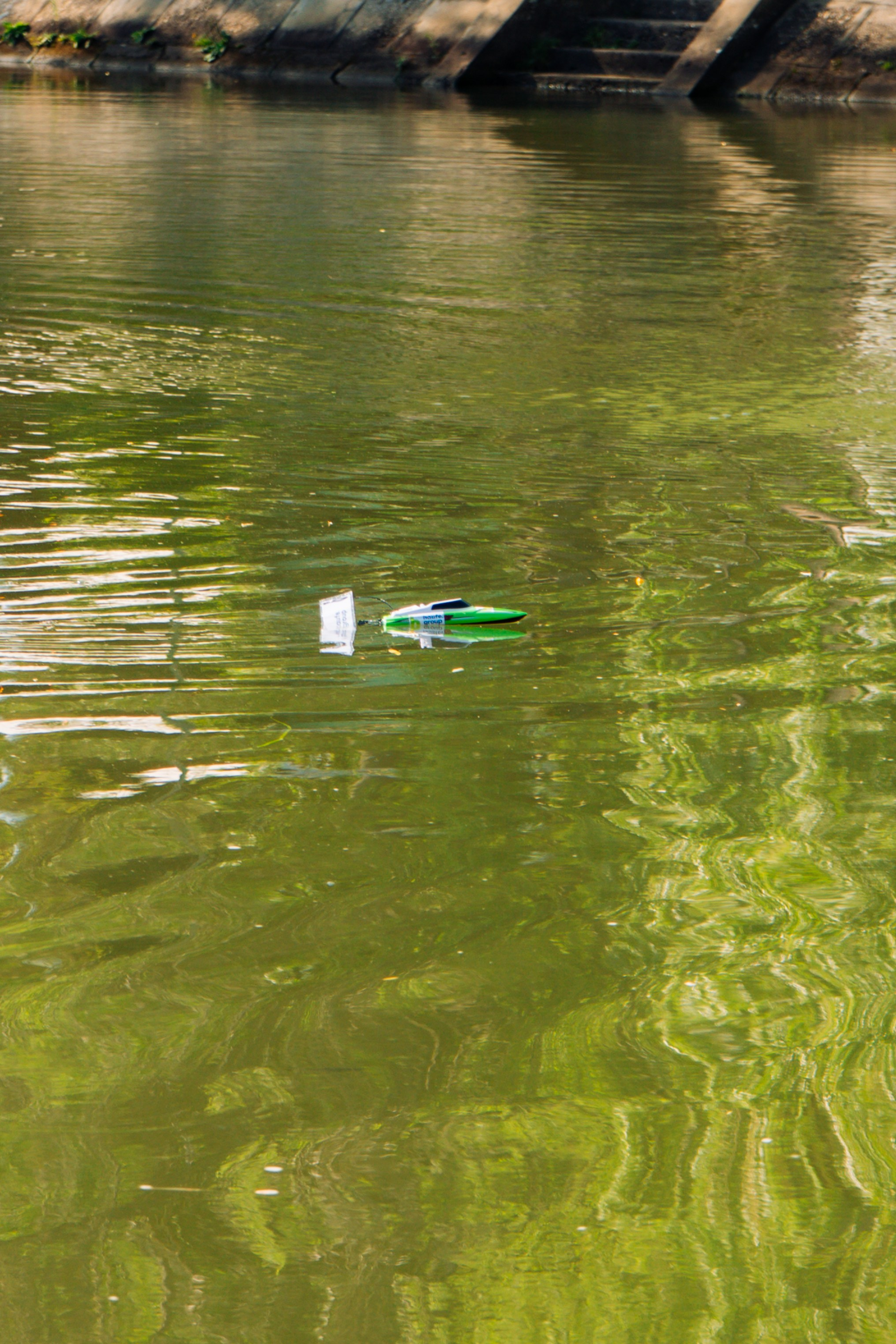 06.04 Bega Boat Race. Cozac Cristian Photographer