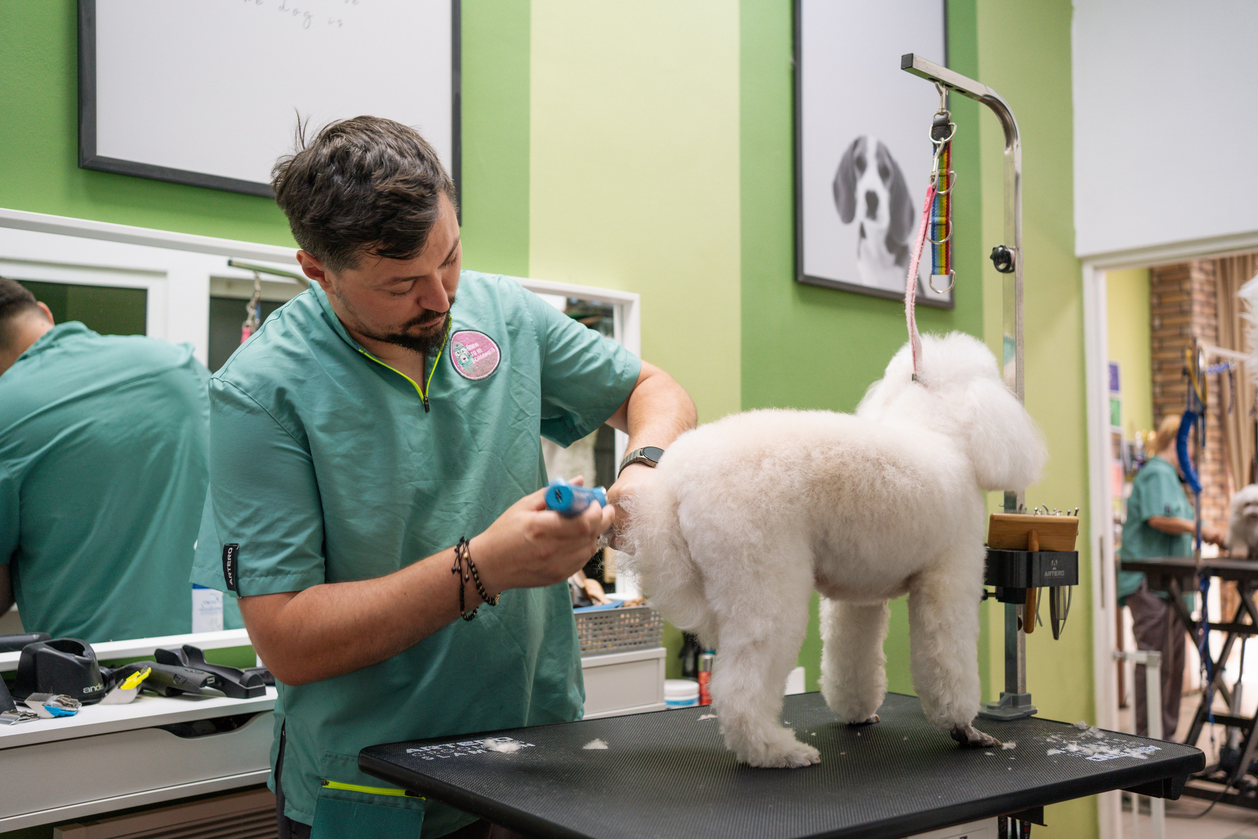 PetGroom Timisoara. Cozac Cristian Photographer