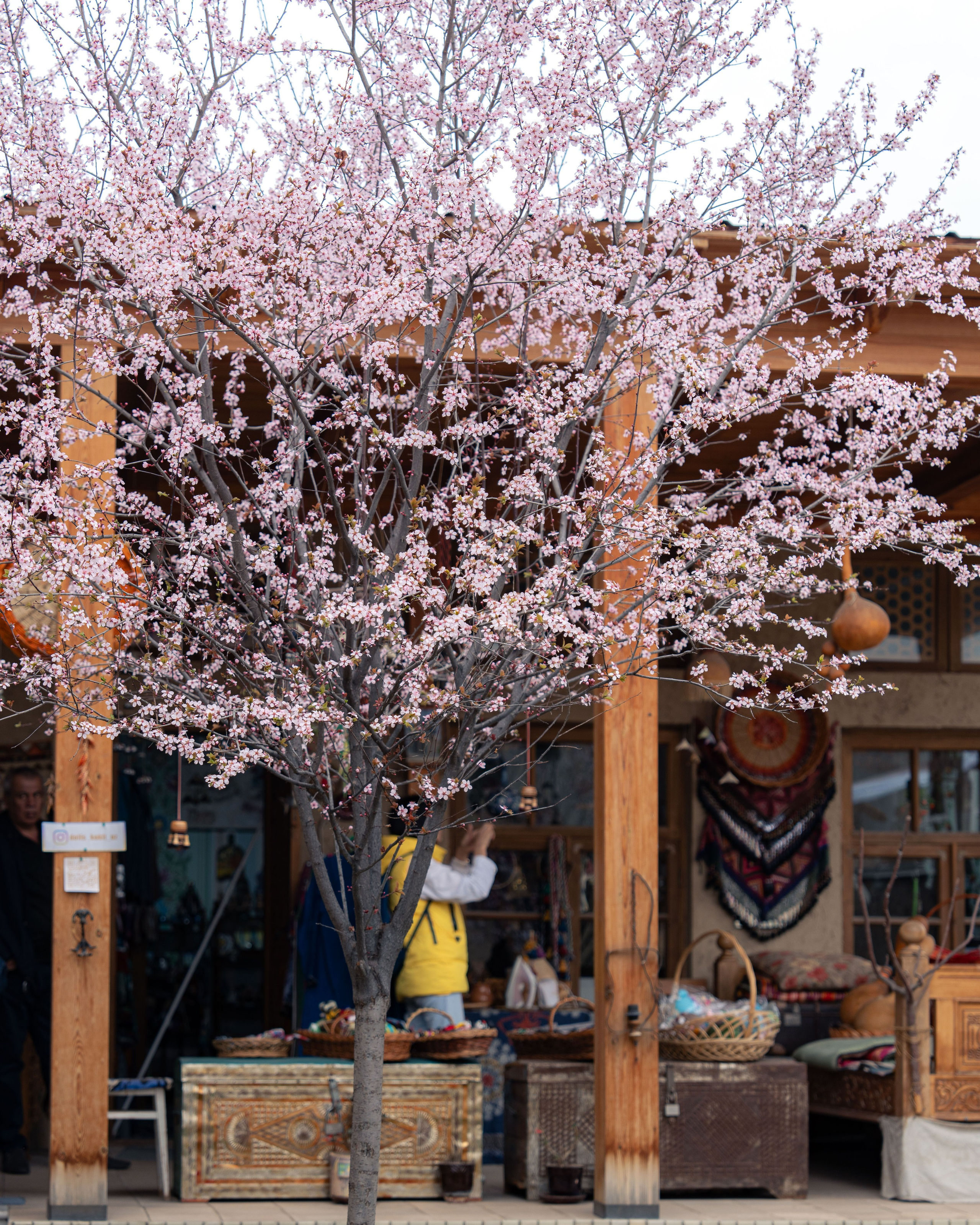 Навруз. Георгий Намазов | Фотограф в Ташкенте