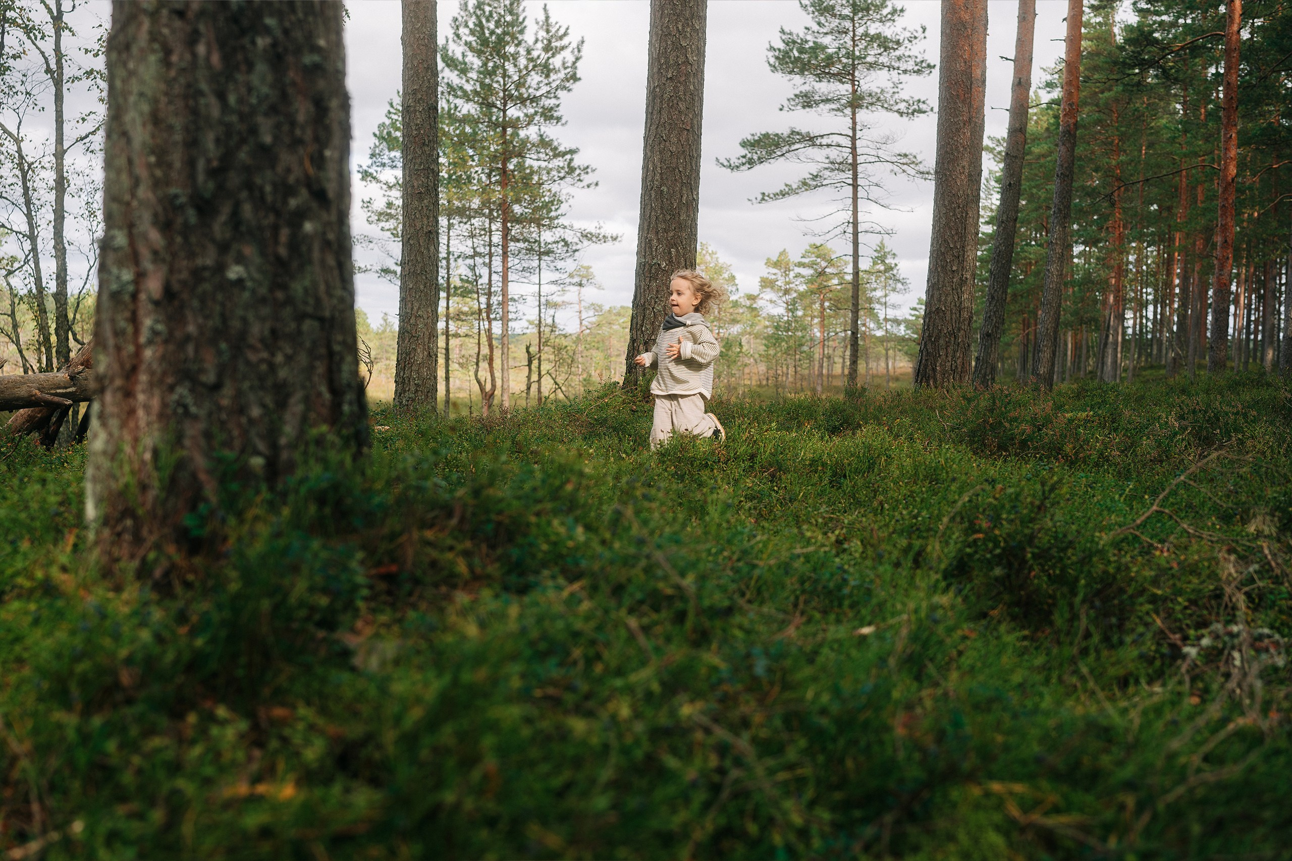 Forest Picnic. Couple and Family Photographer in Tallinn, Sasha Kaloshin