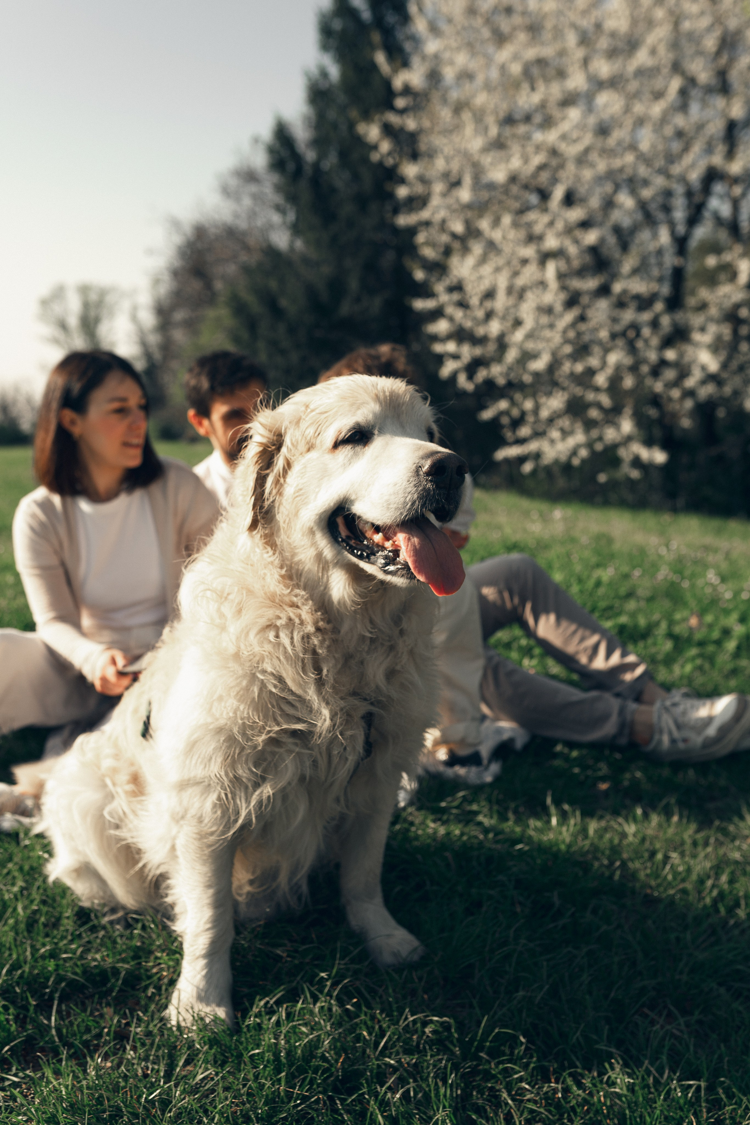 FAMILY. Photographer in Milan • Como • Varese • Gallarate • Marina Acosta