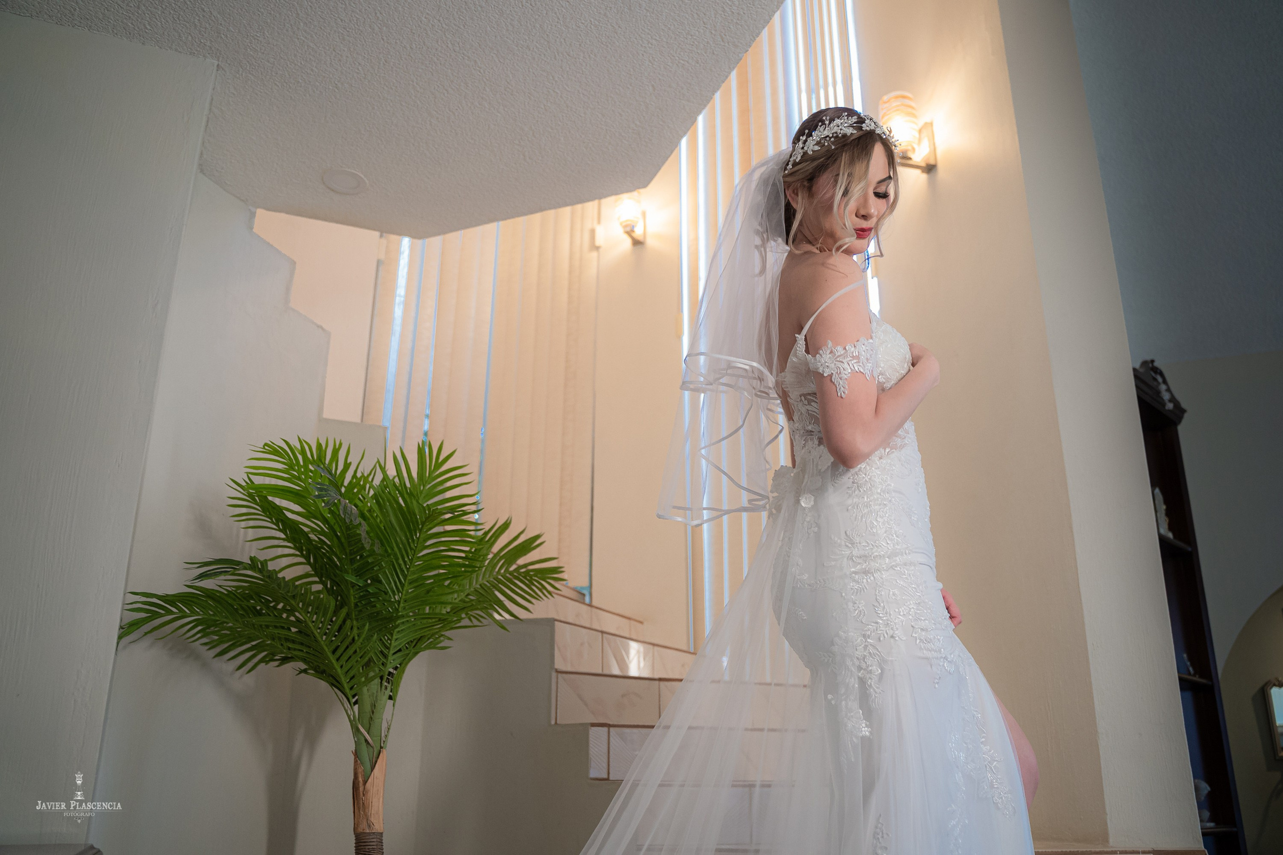 Angelica & Alejandro