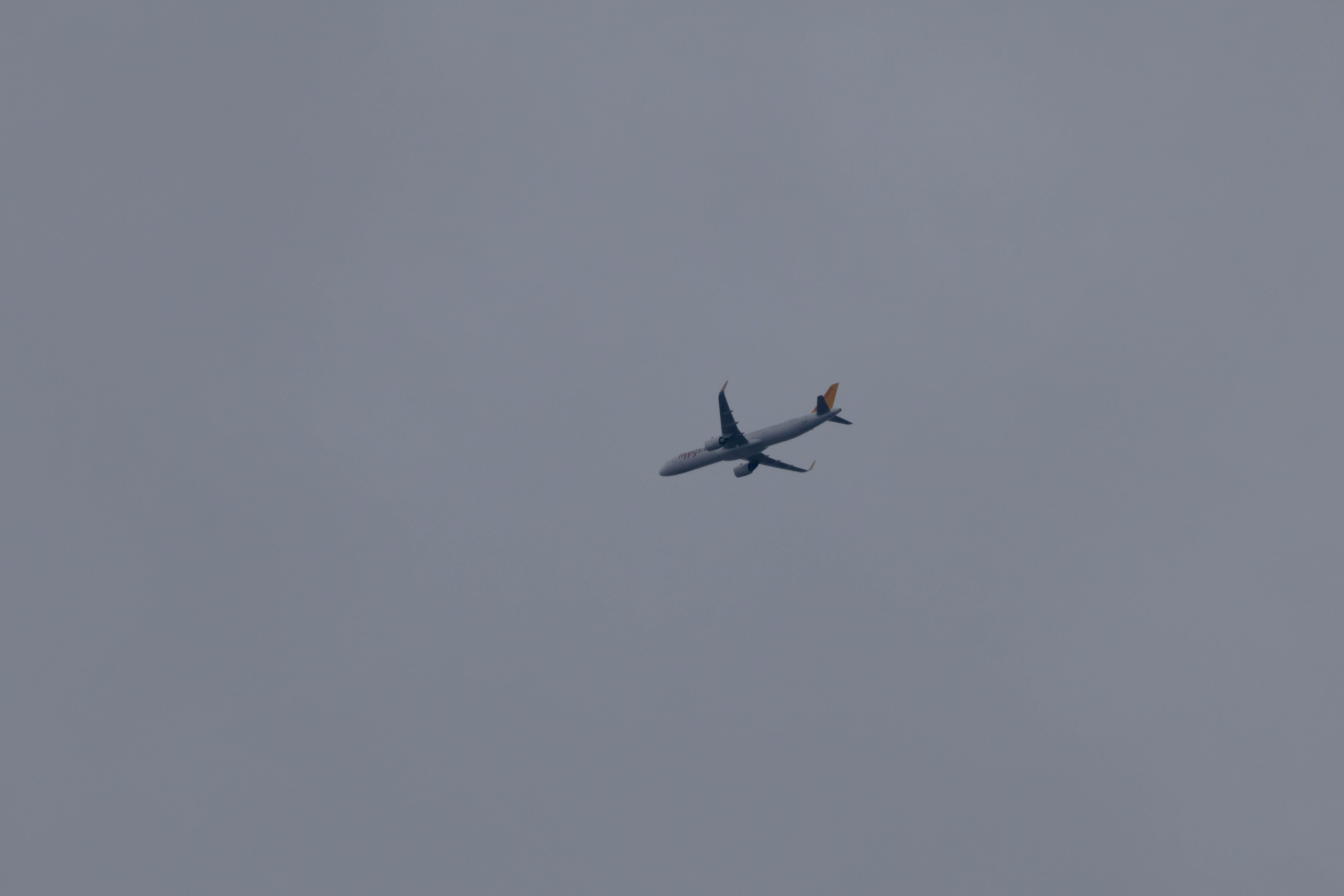 სამშვილდე. FramefreeMan