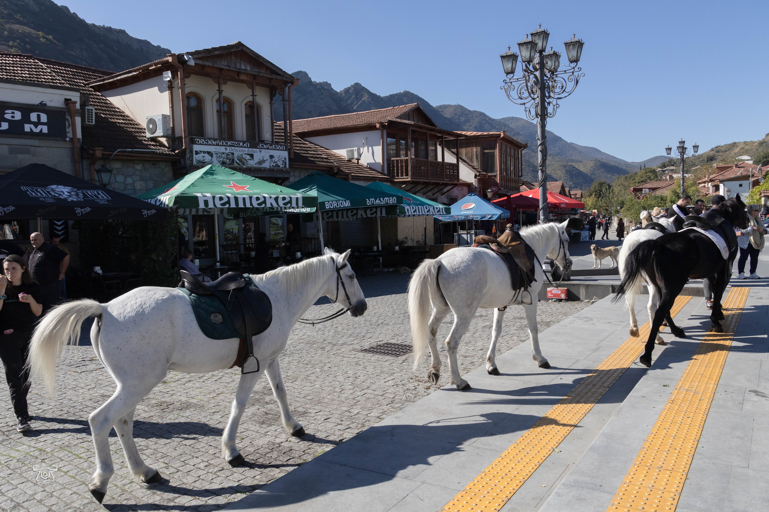 ქალაქი და ადამიანი. FramefreeMan