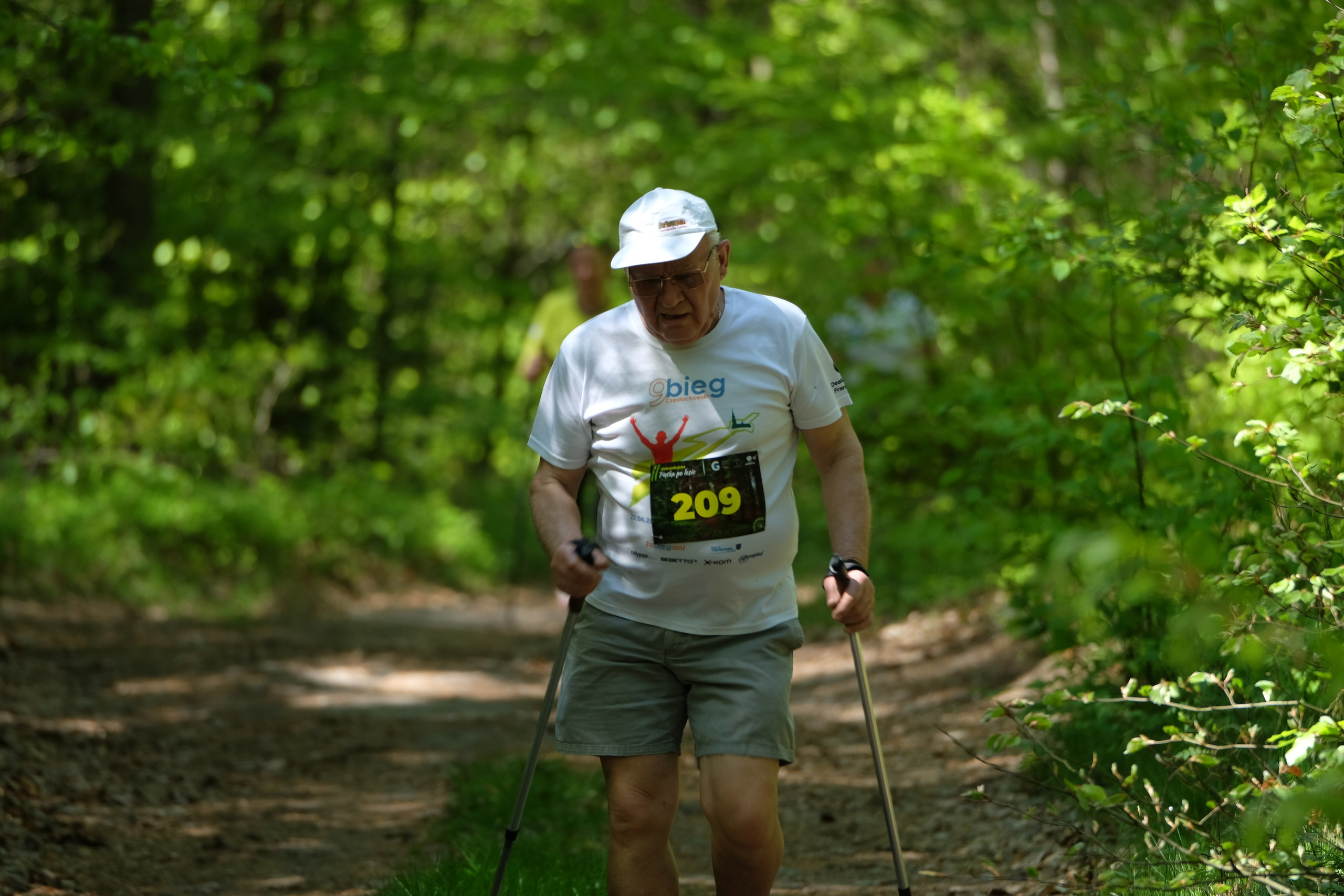 Aleksandryjska Piątka po lesie. Main