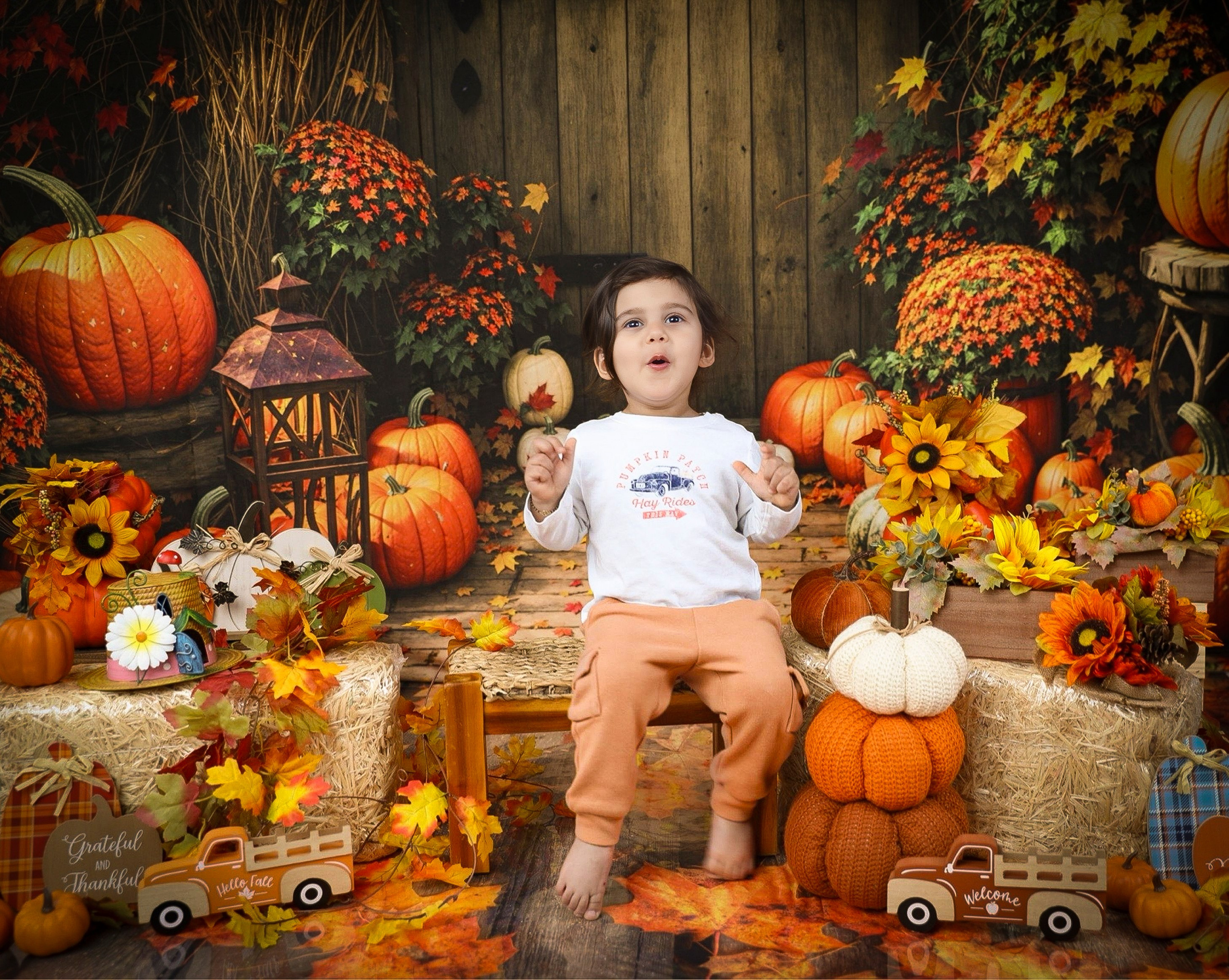 Fall and Halloween. AP Lens Photography | Newborn, Maternity, Milestone & Family Photographer Little Elm TX