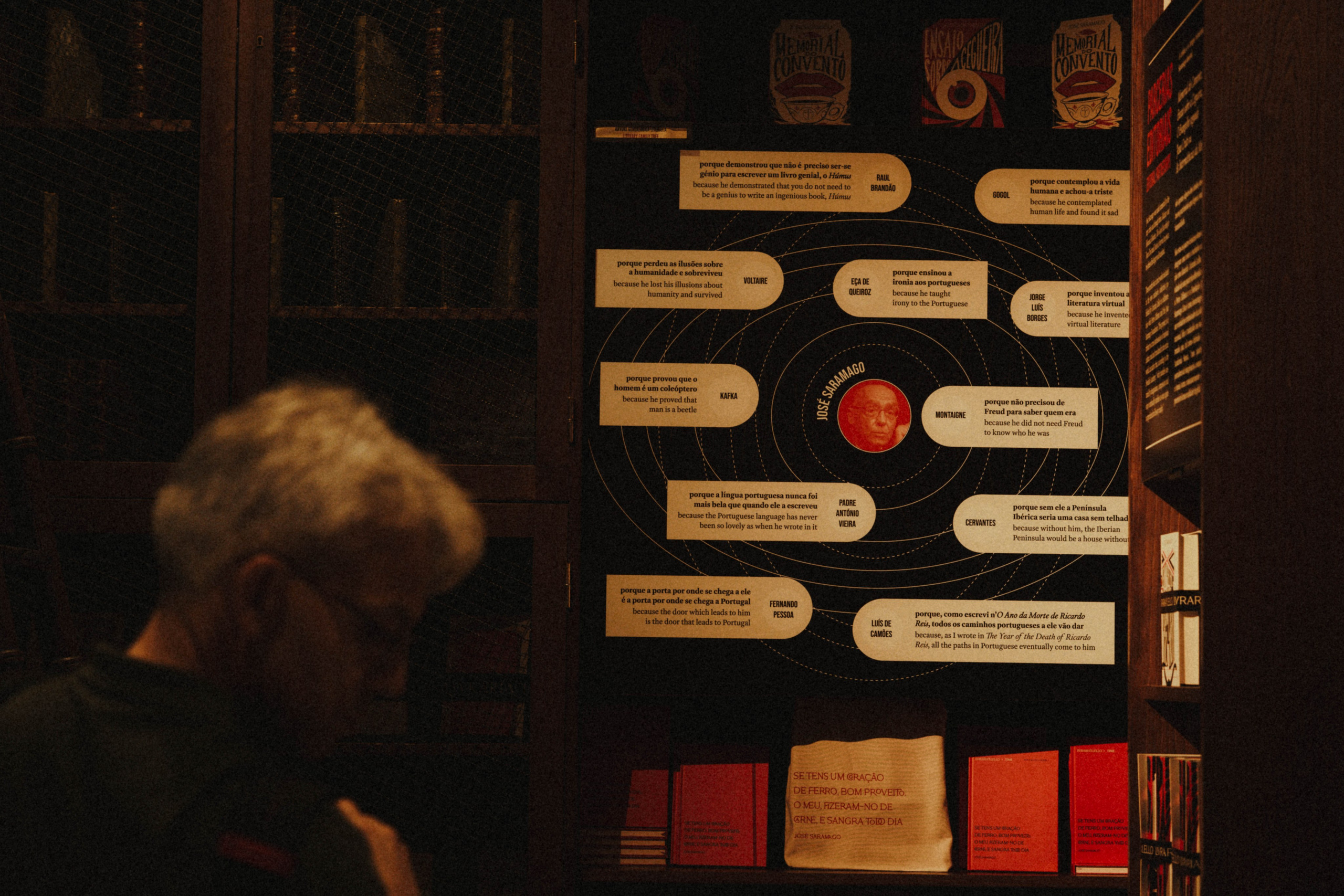 Librería Lello, Porto. Alba del Norte Studio