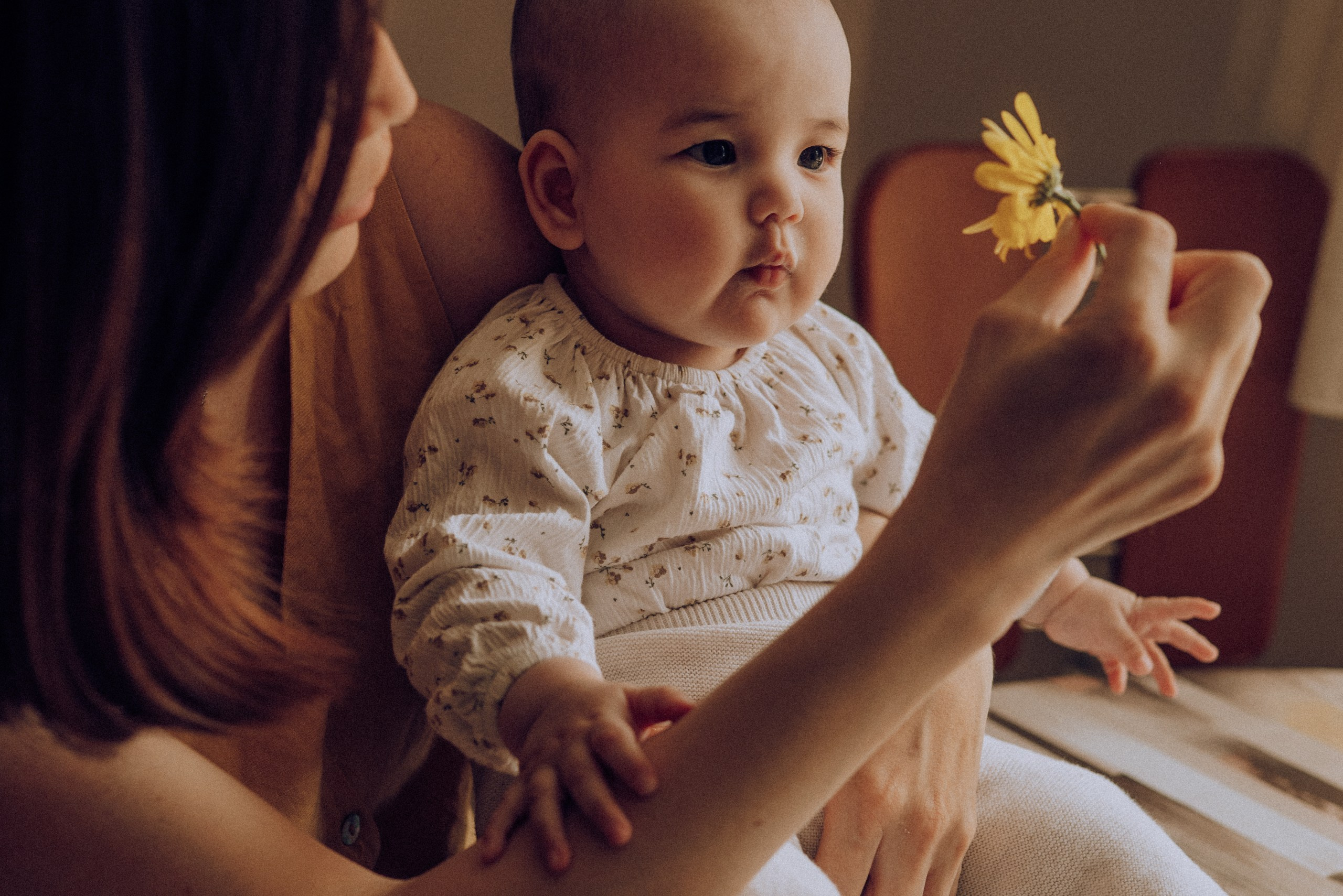 M.M.L. Семейный фотограф. Сербия. Нови-Сад. Белград