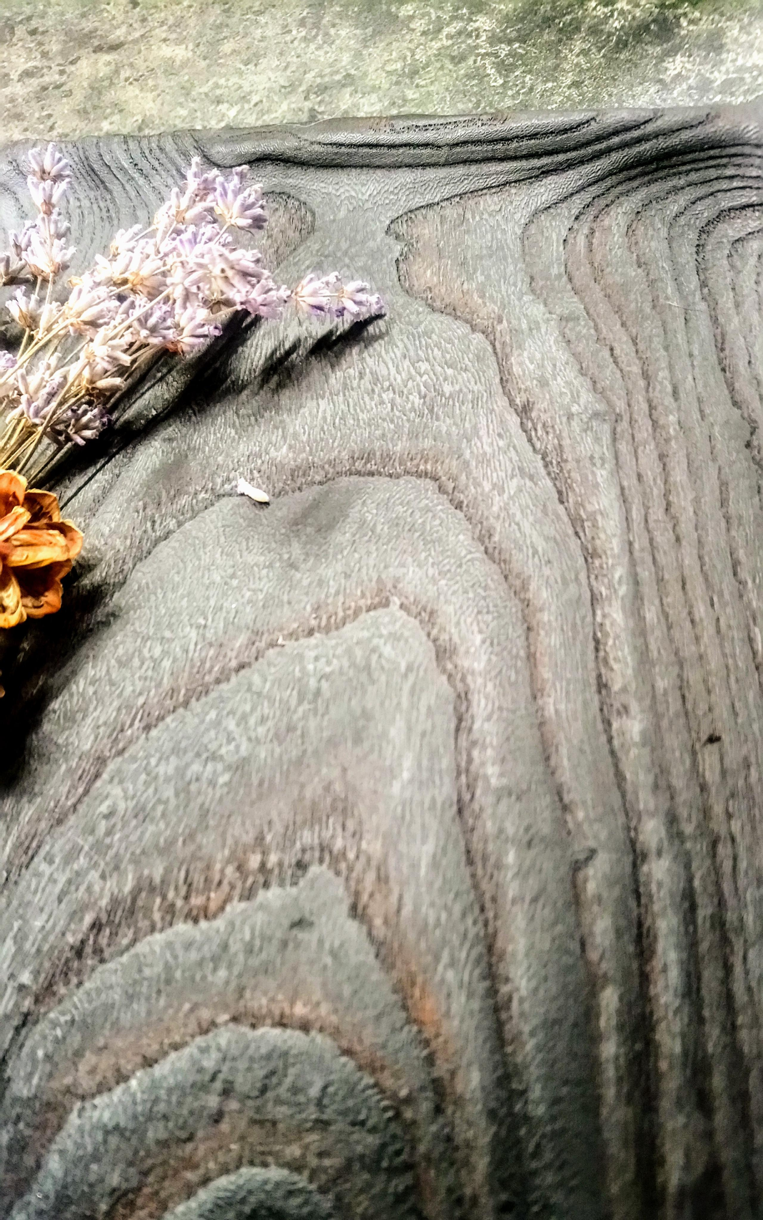 Деревянная квадратная тарелка. Архитектор, дизайнер интерьера, декоратор