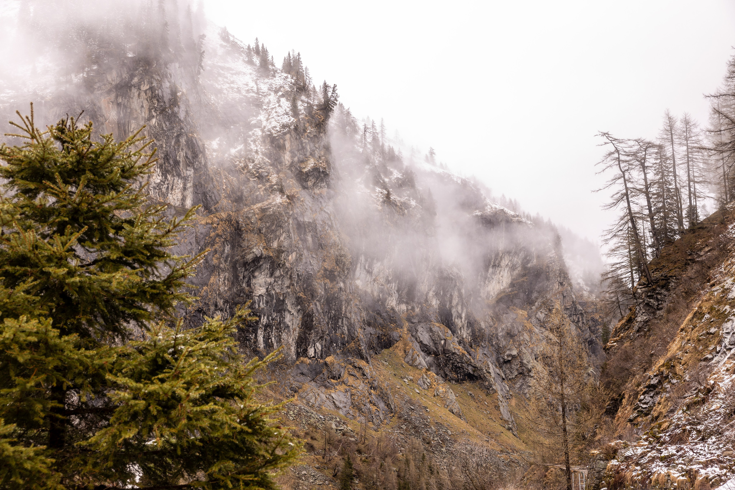 BEZIRKSÜBUNG WASSERRETTUNG 2025, Sportgastein. Guzel Kolobova| Fotografin| Salzburg