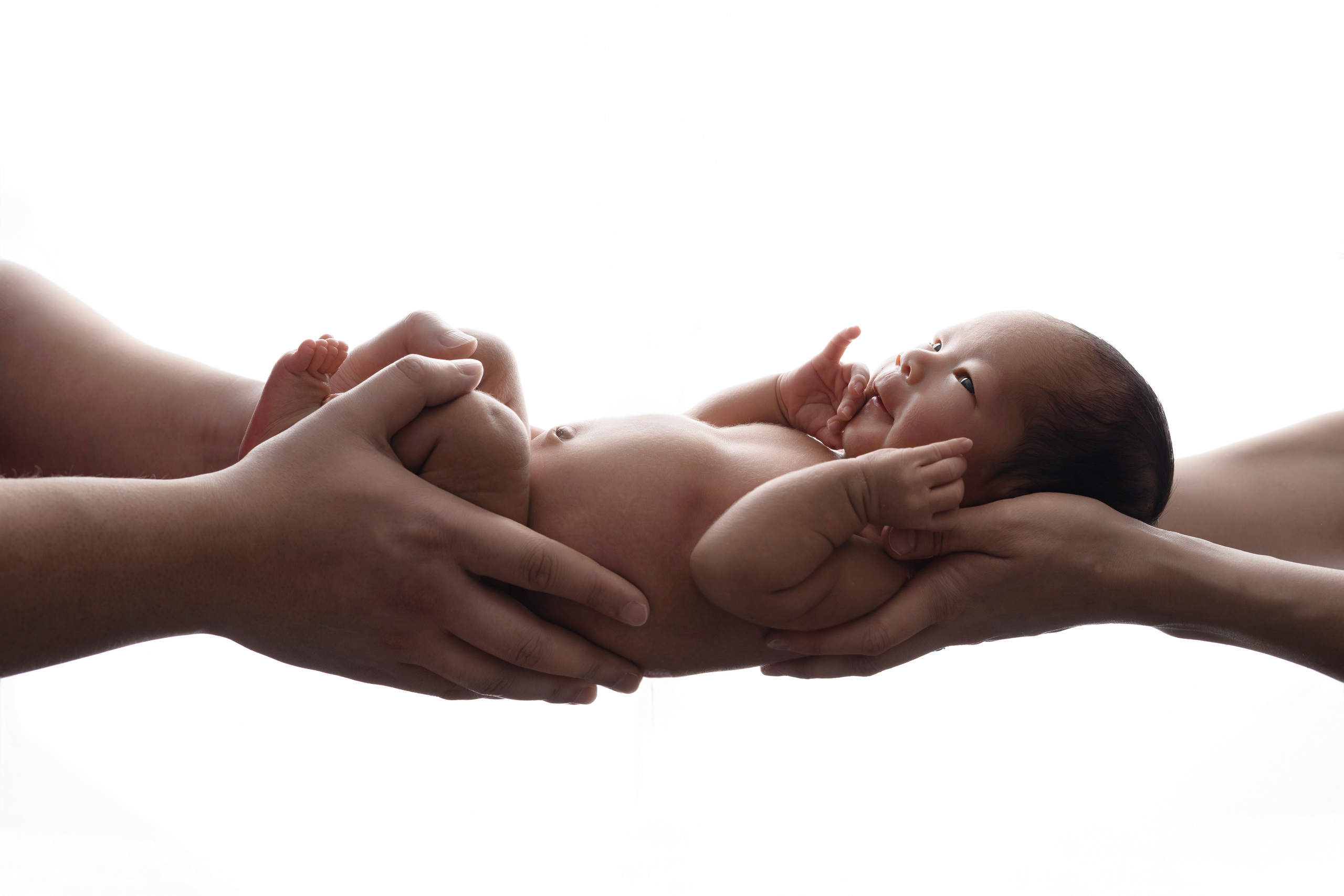 Newborn. Julia Bolgov Photography | Newborn, Family, Maternity & Milestone Photographer in Bay Area, CA