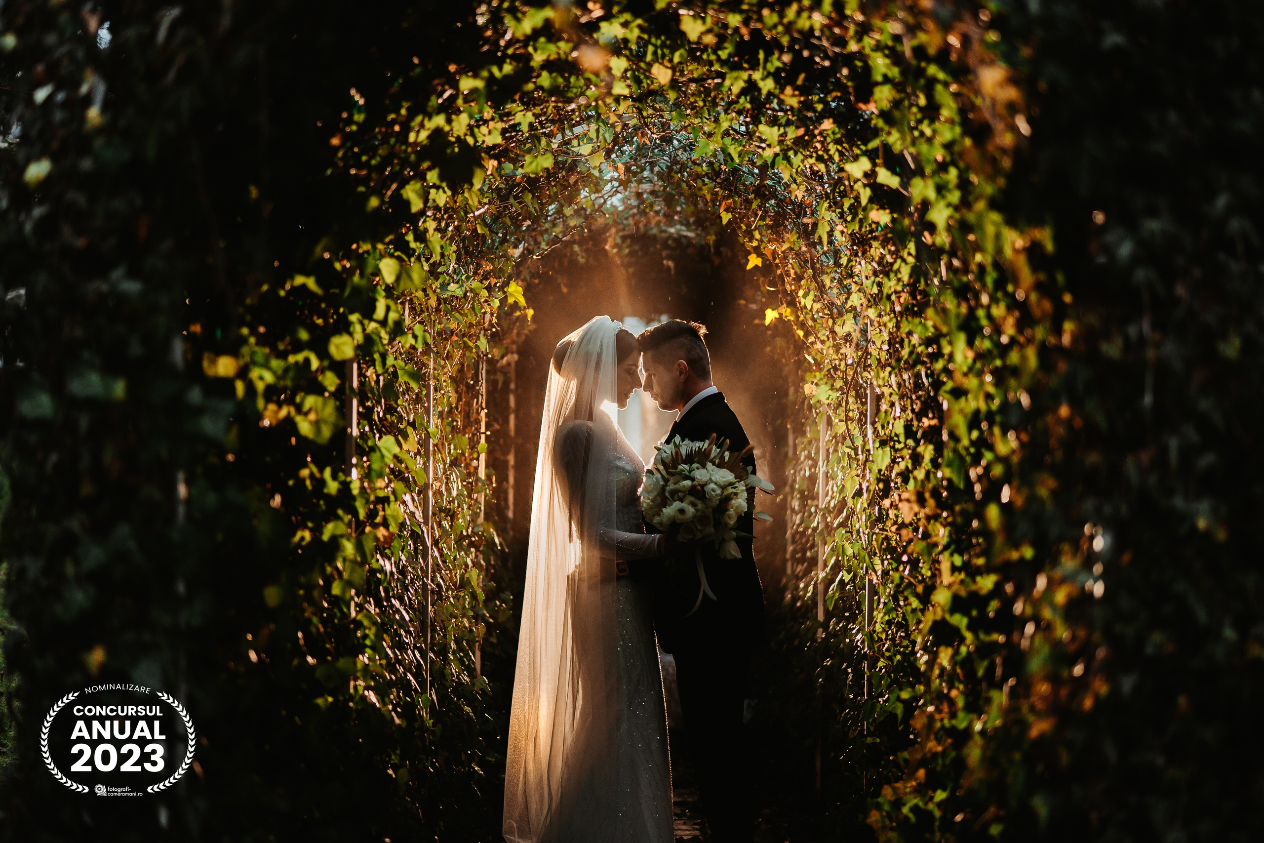 Best Of. Spoiala Brothers — Wedding Films & Photography