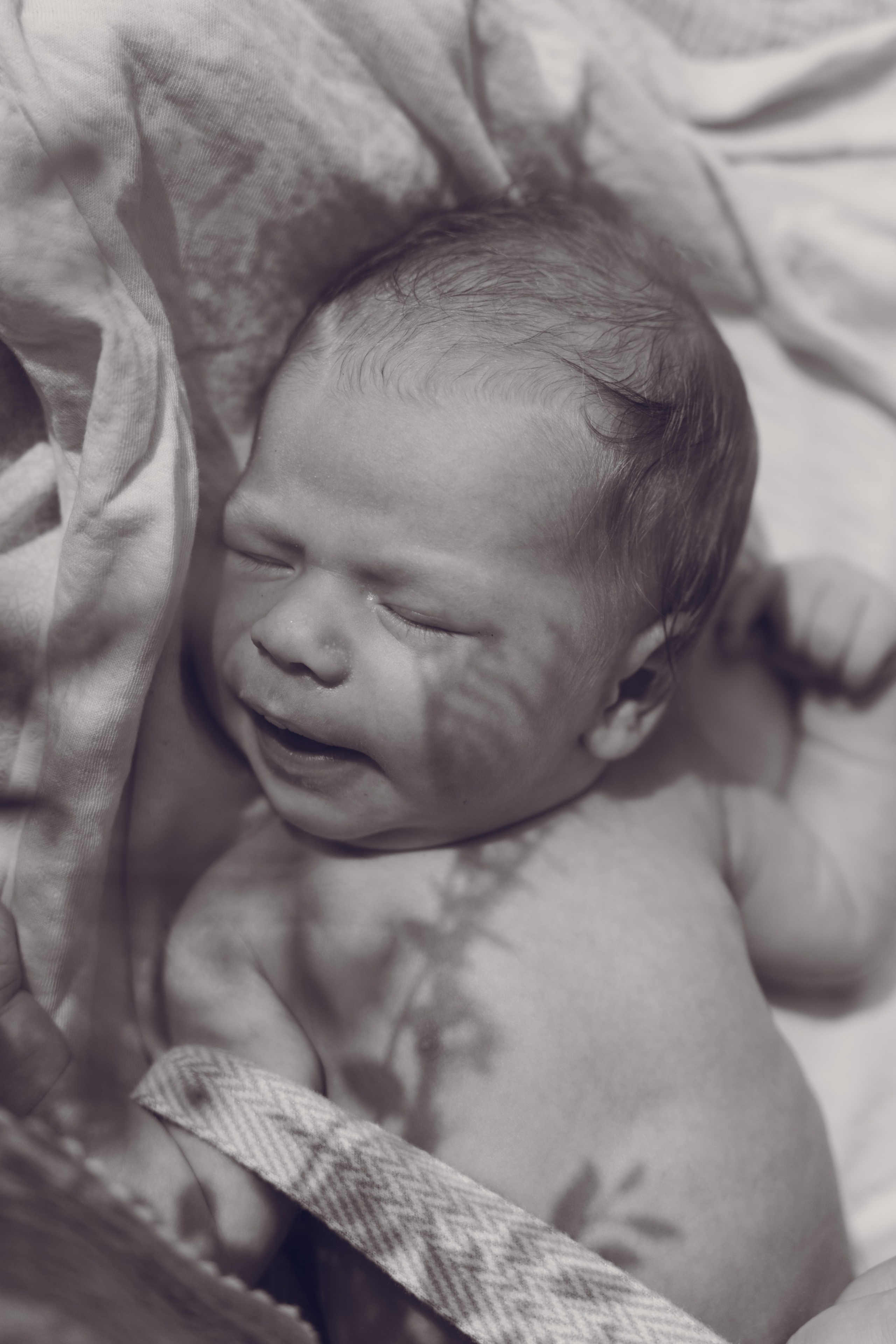 Welcome to the World. Dash_photopic.I’m Daria New York based photographer