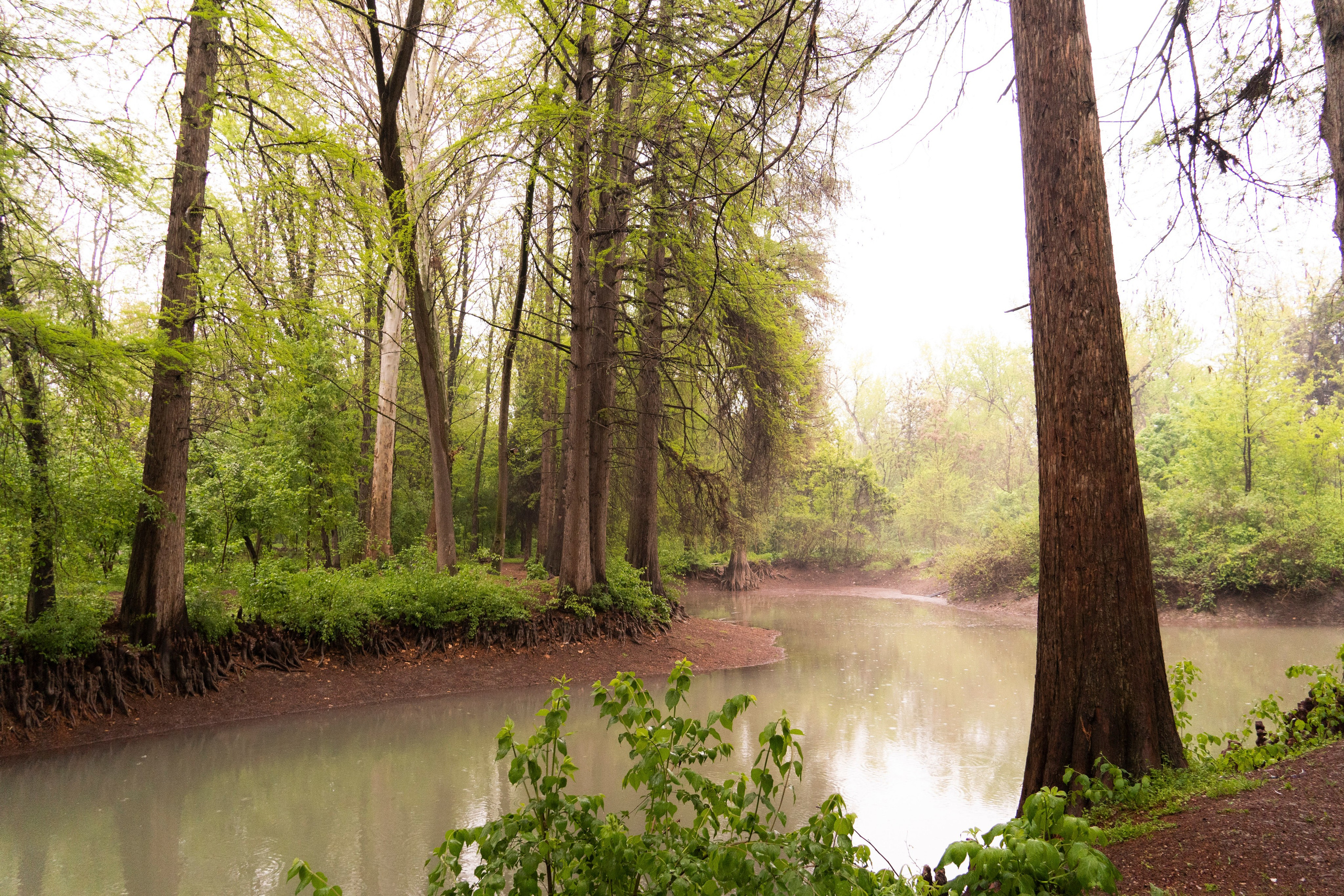 Melikov Amir, Uzbekistan based photographer
