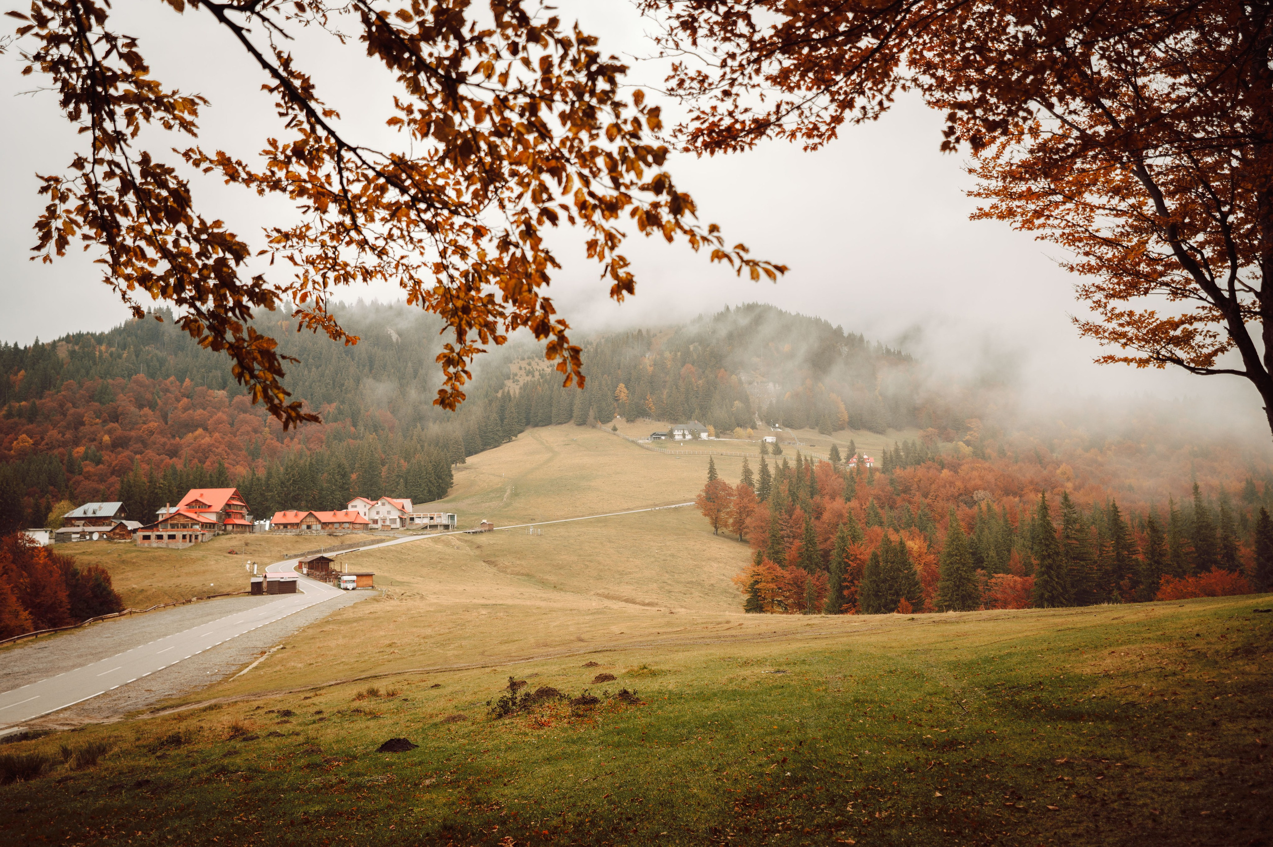 Catalina & Catalin. The Catalins Events — Wedding Photography & Videography
