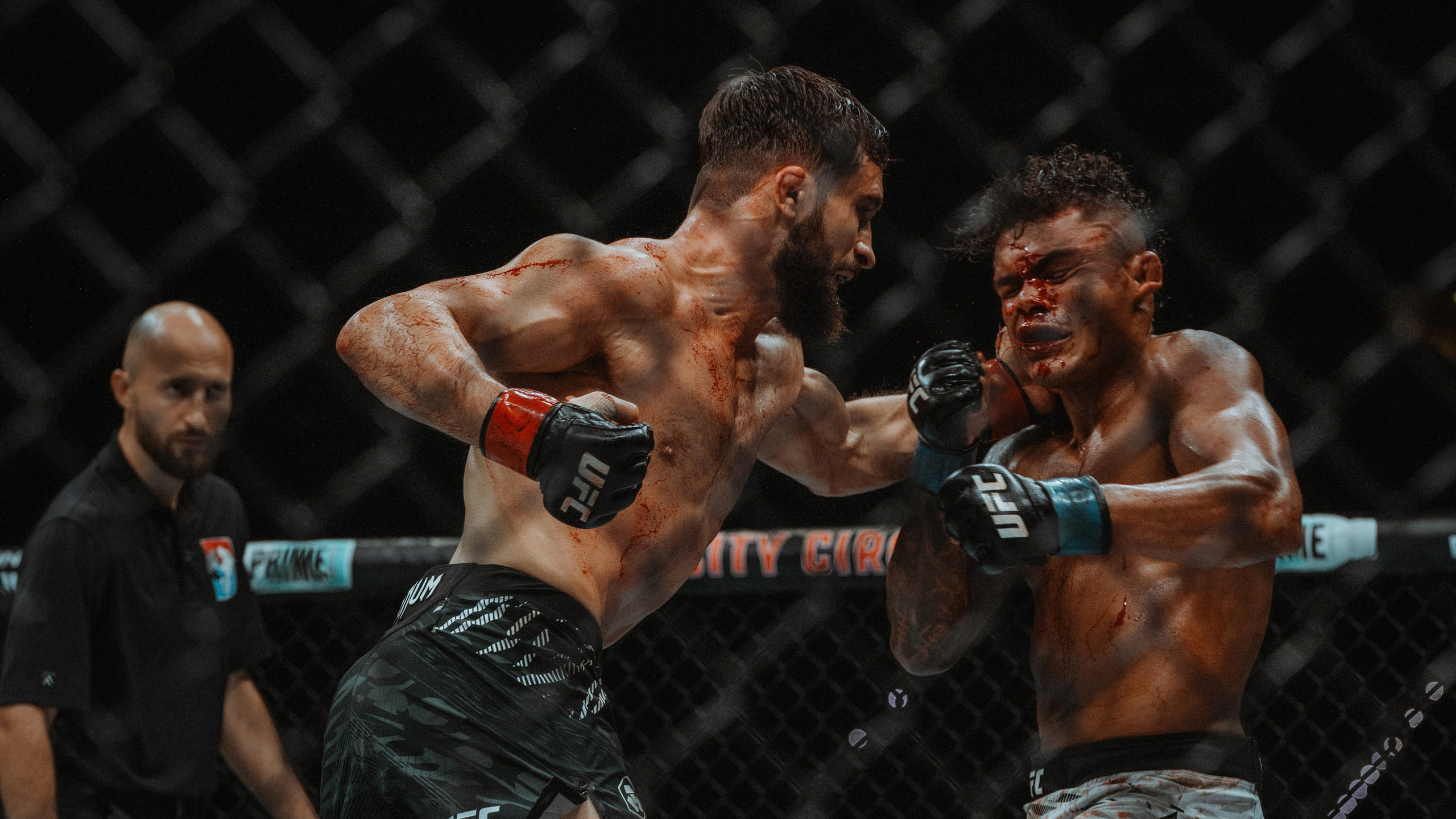 UFC. Commercial and Event photographer Eltaj