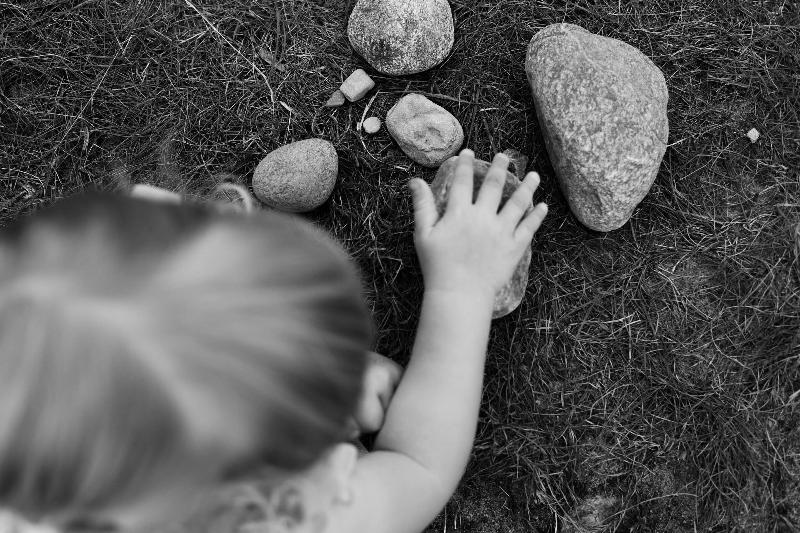 Эвелин, Иван, Саша и Эван. Главная