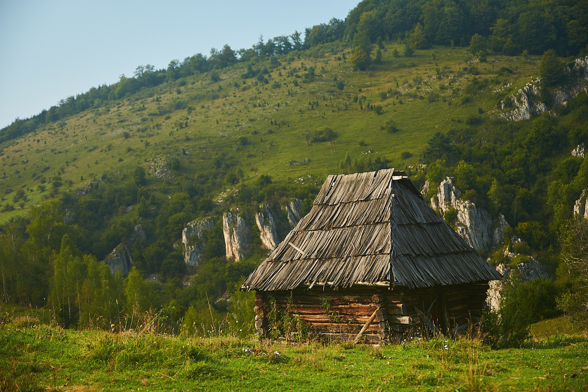 Fundătura Ponorului, jud. Humedoara. Pagina principală