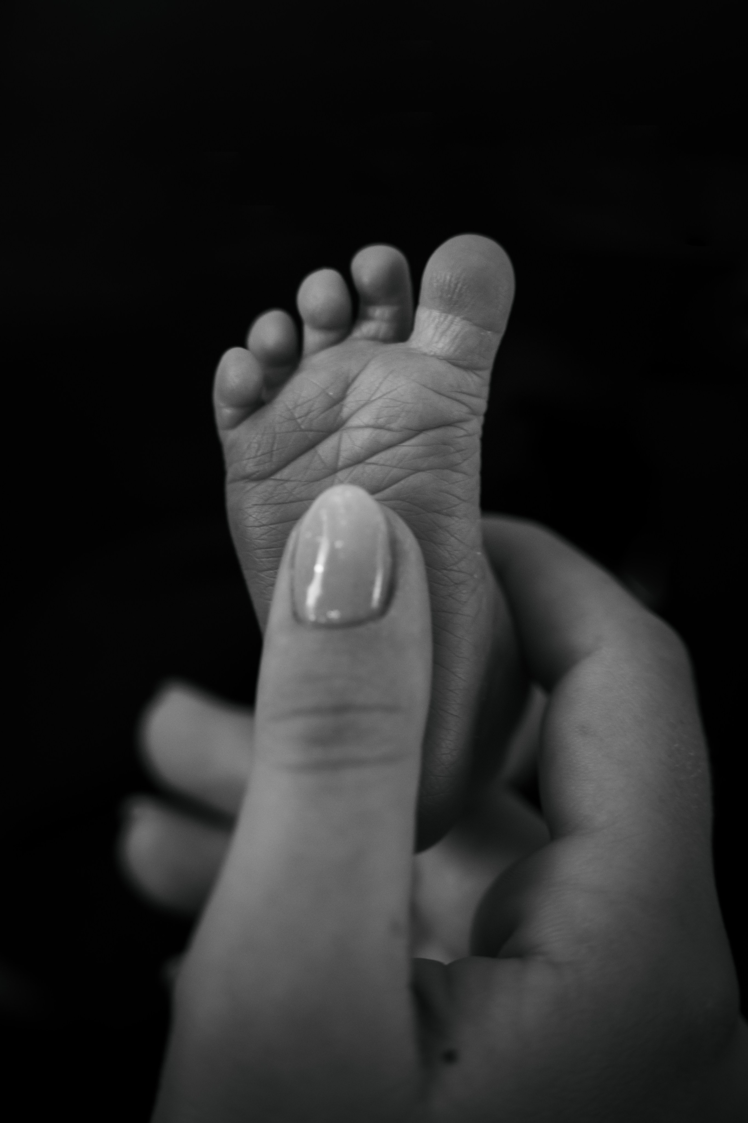 10 days. Elena Seewald