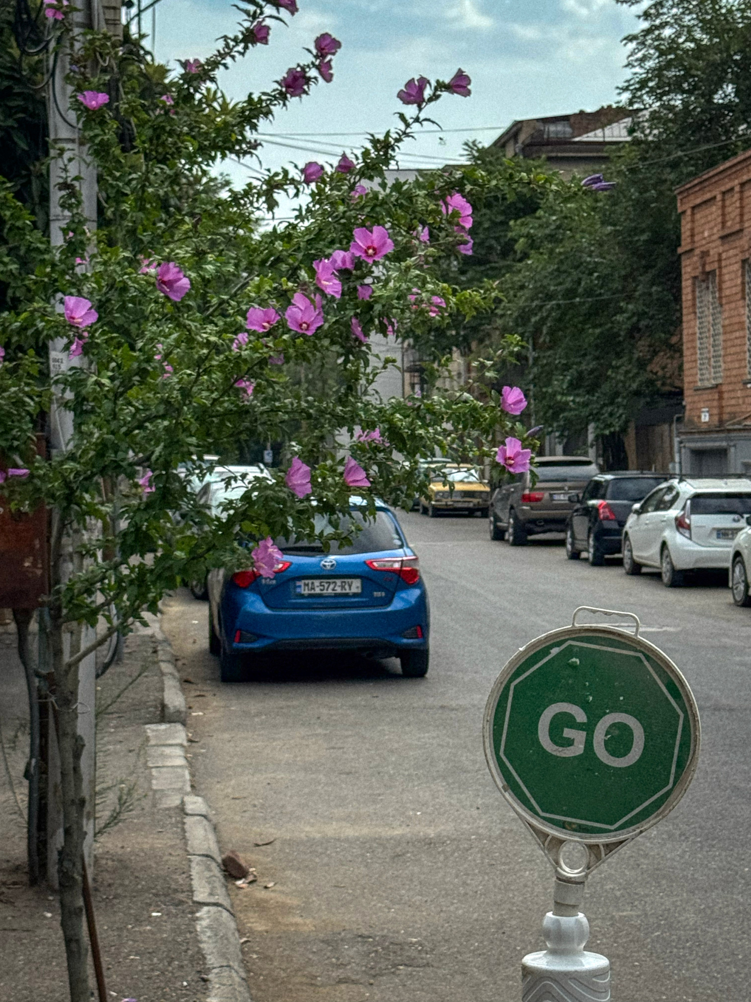 Tbilisi, Georgia. Vladislav Makarov. Portrait & Street style photographer in Baku