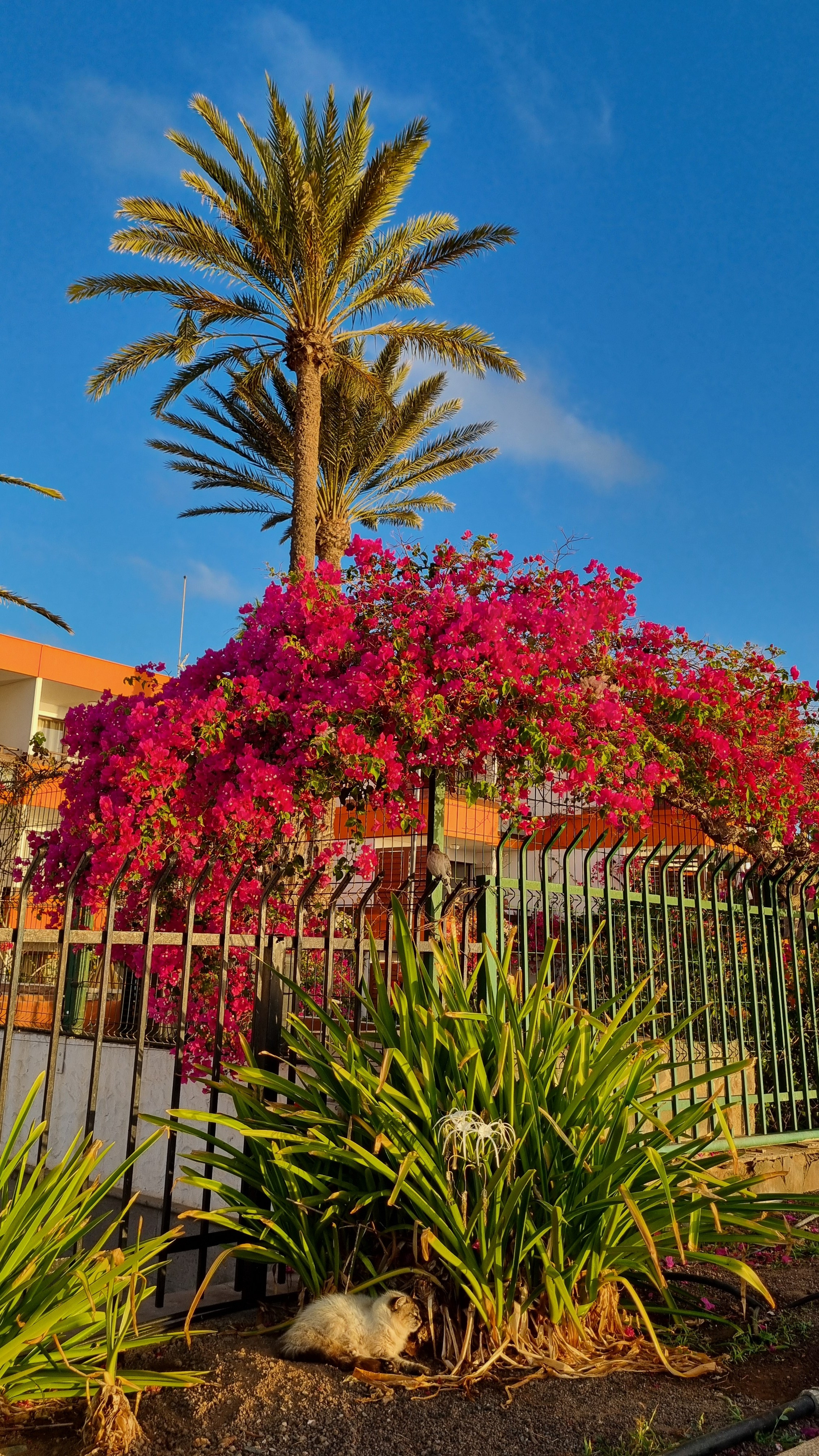 Gran Canaria 2024. Марина фотограф из Нюрнберга